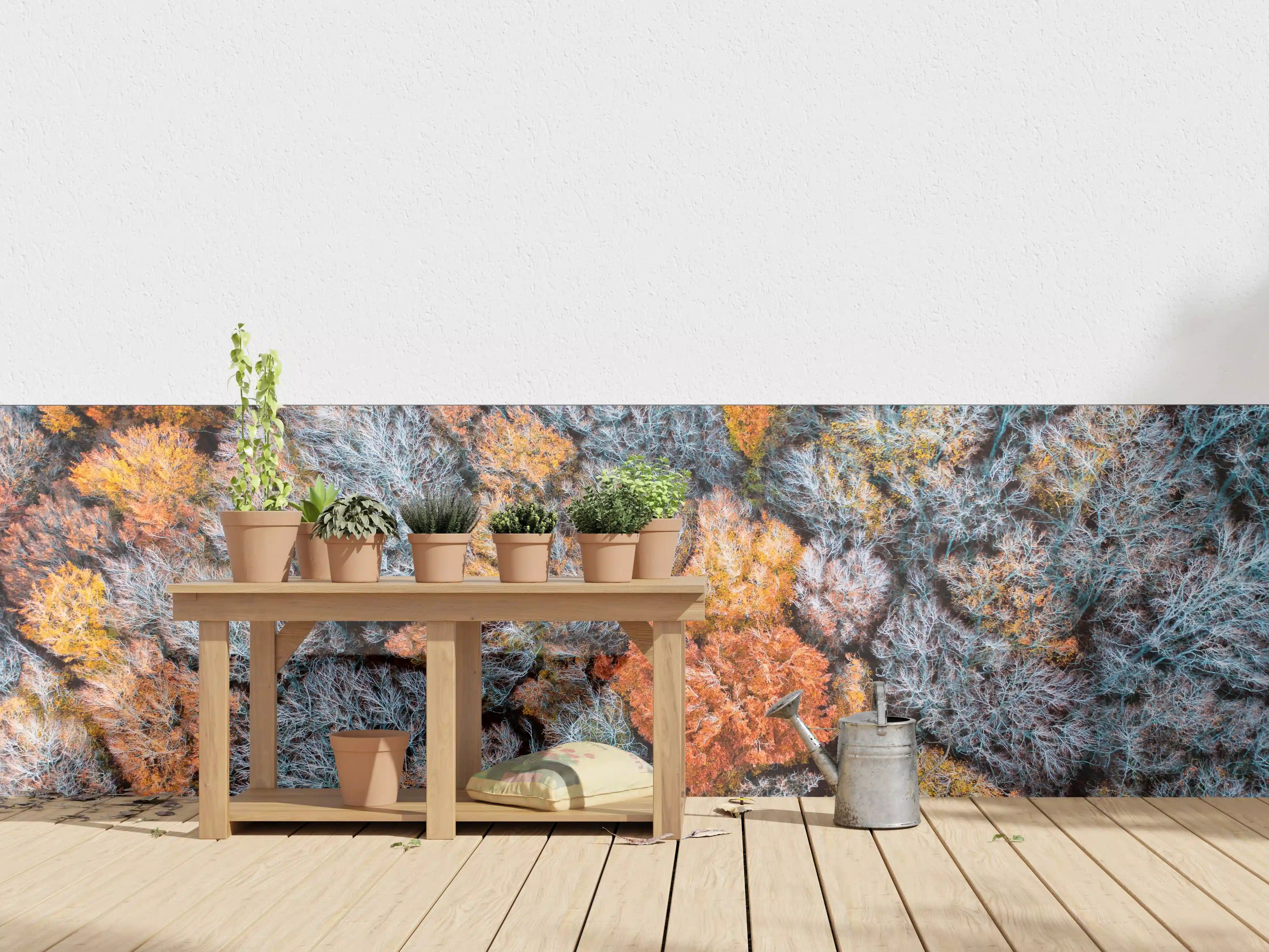 Wandverkleidung außen - Herbstwald aus der Vogelperspektive