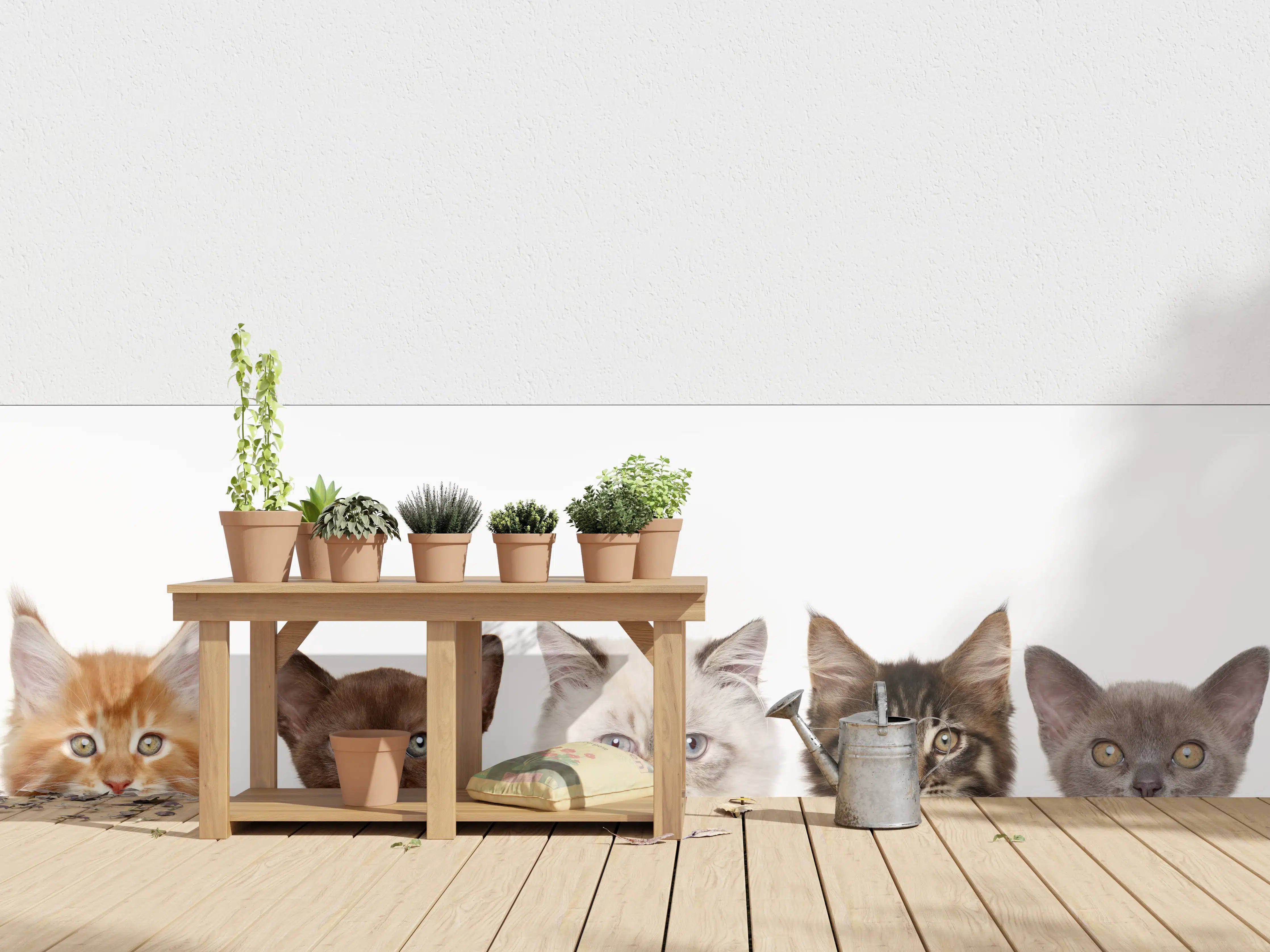 Wandverkleidung außen - Katzen-Kopf-Reihe in Weiß-Grau