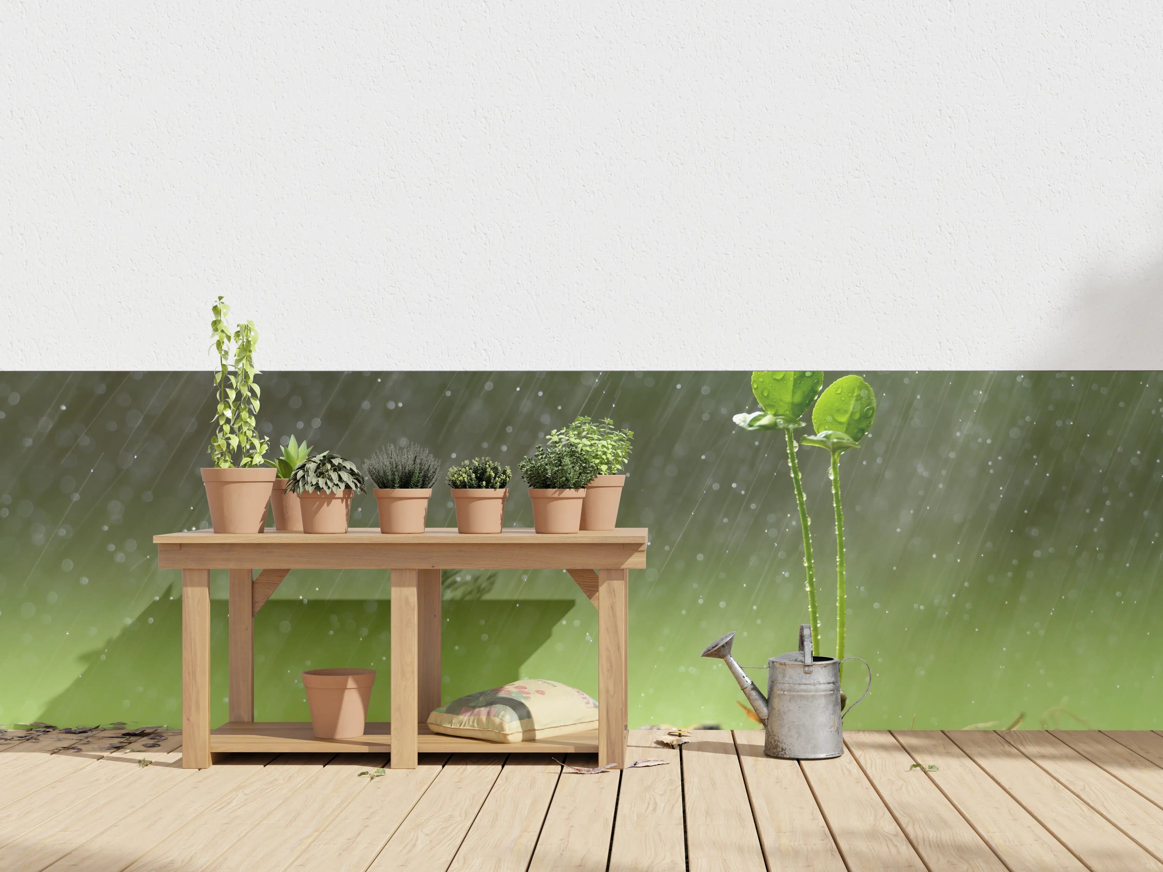 Wandverkleidung außen - Keimende Pflanze bei Regen