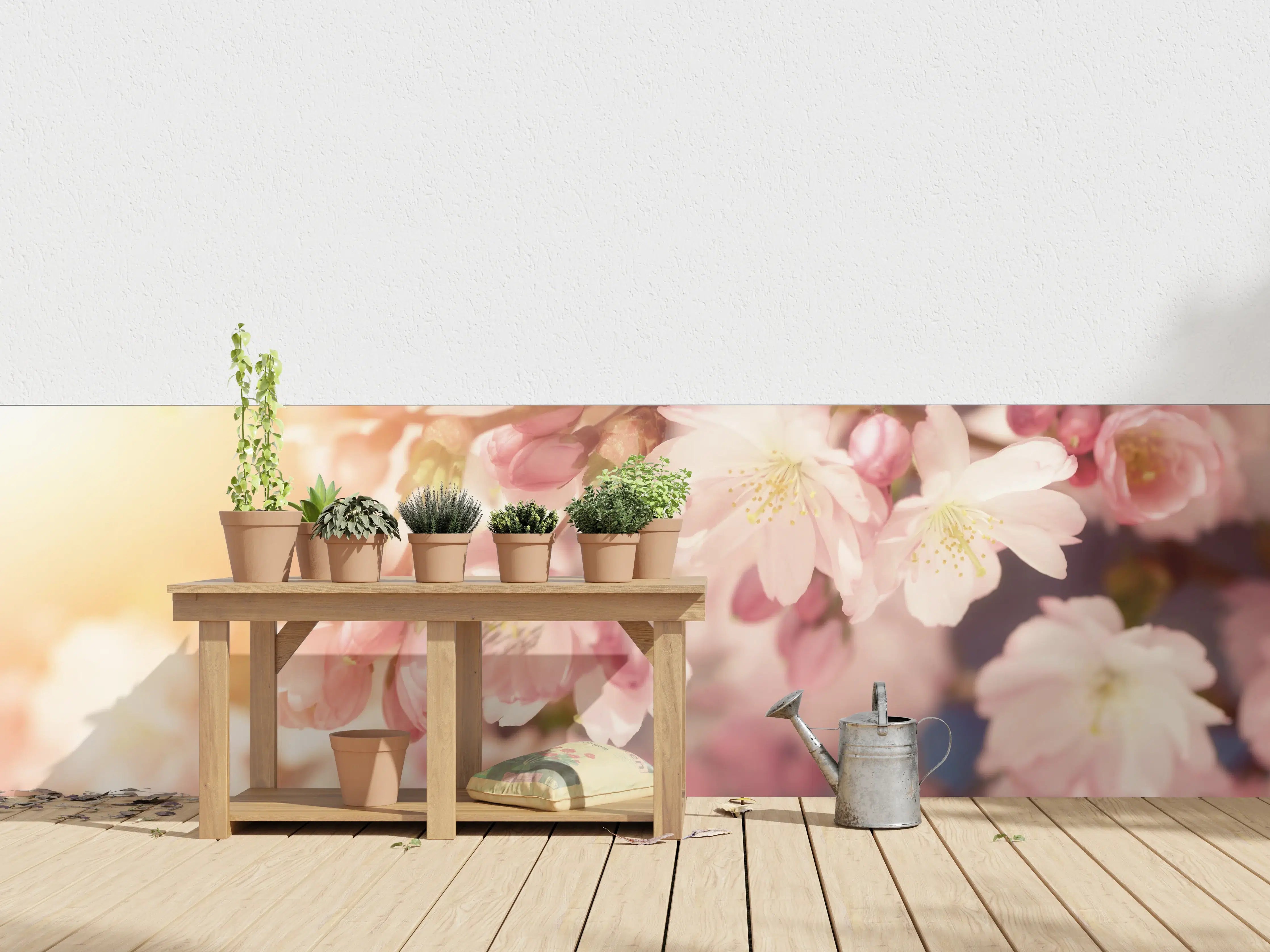 Wandverkleidung außen - Kirschblüten im Sonnenlicht