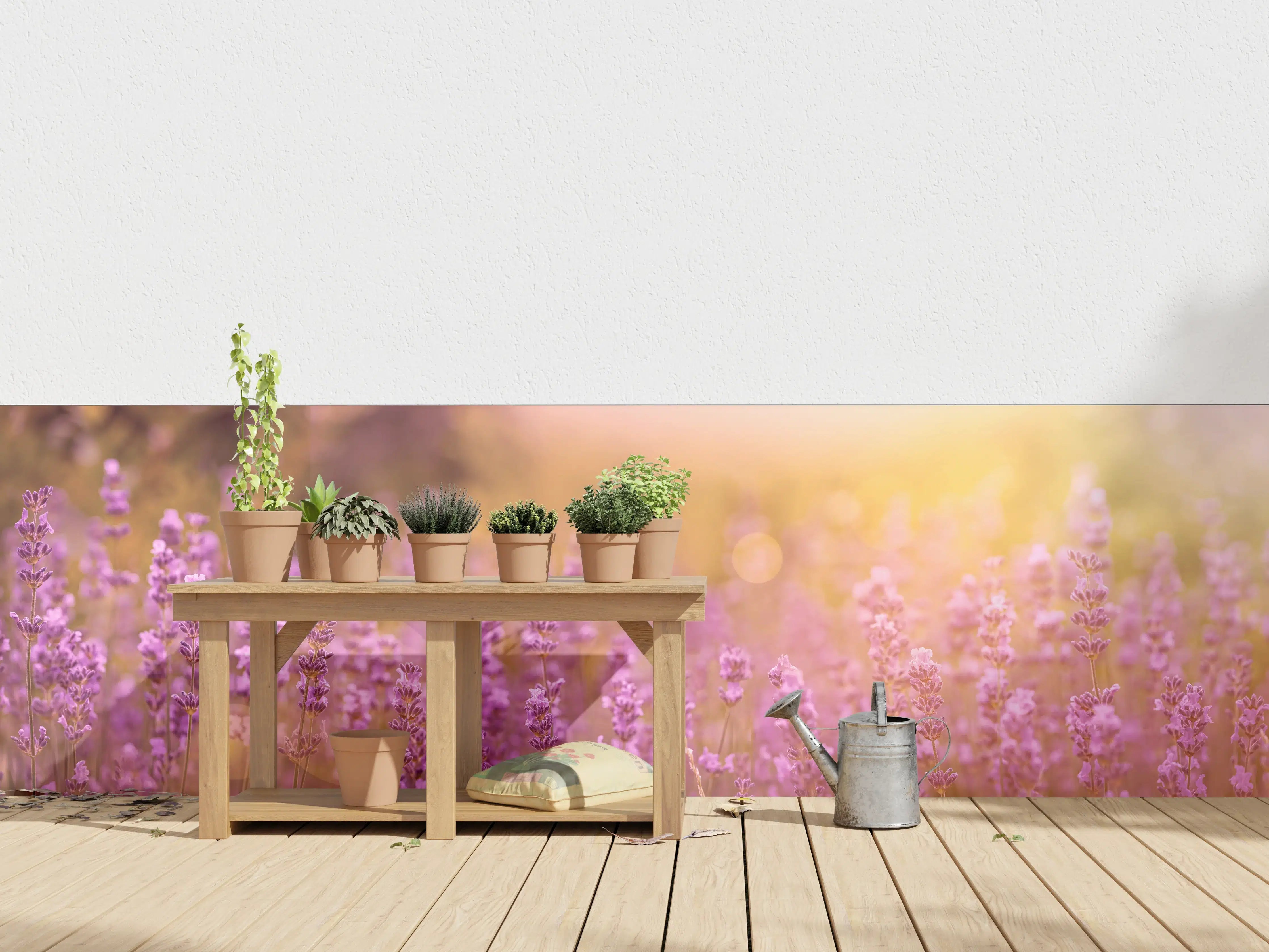 Wandverkleidung außen - Lavendelfeld im warmen Abendlicht