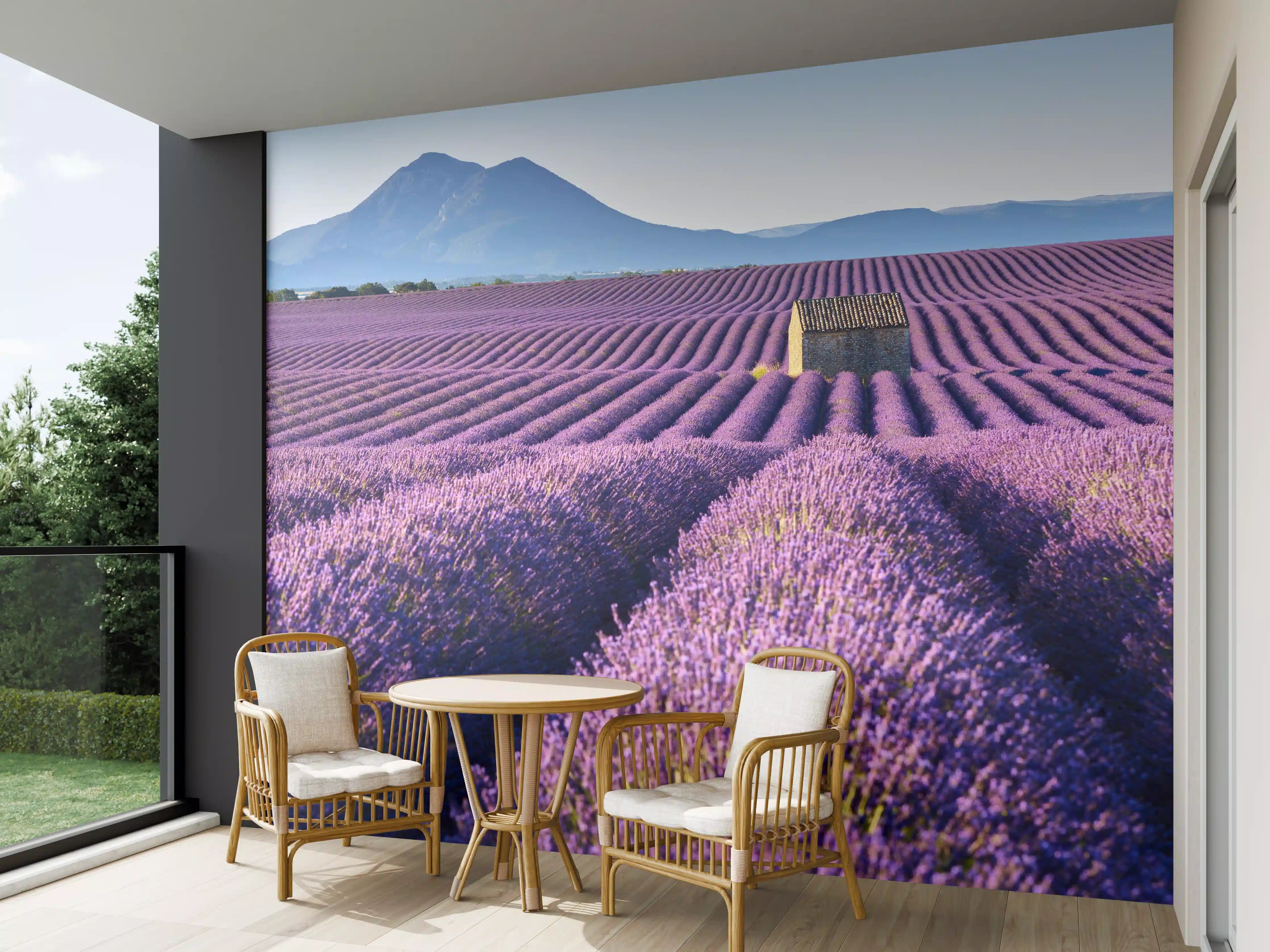 Wandverkleidung außen - Lavendelfelder auf dem Plateau de Valensole