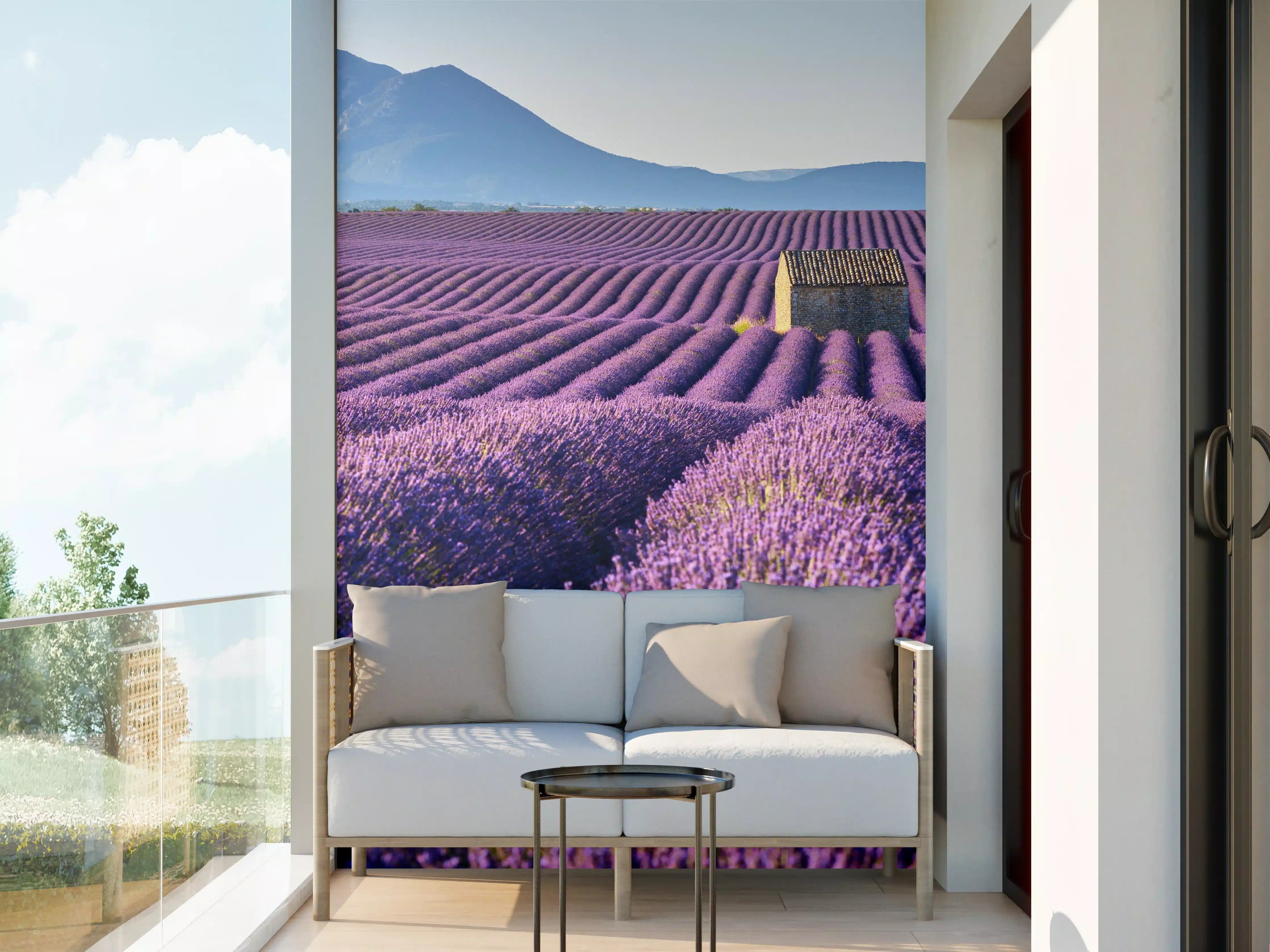 Wandverkleidung außen - Lavendelfelder auf dem Plateau de Valensole