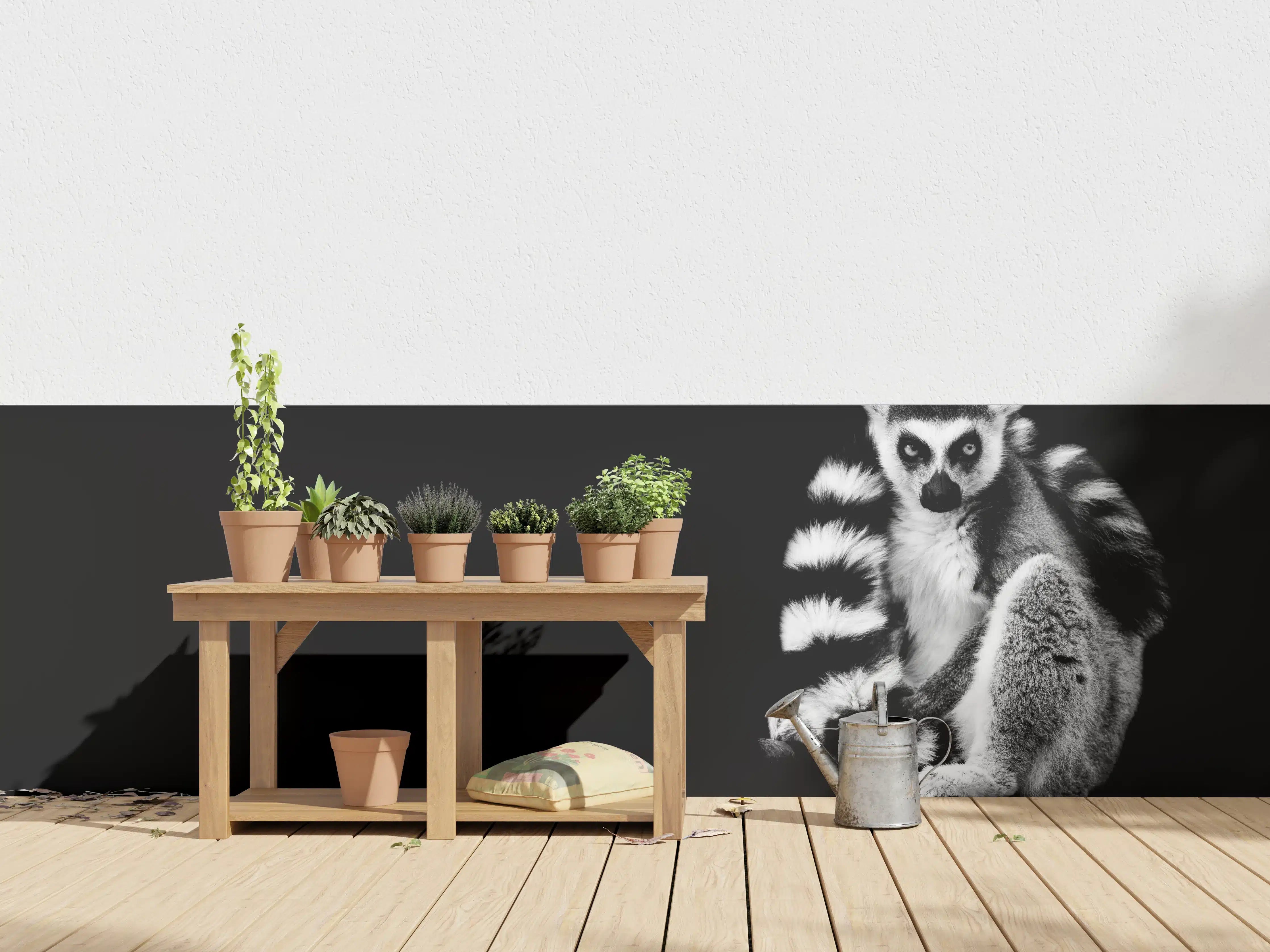 Wandverkleidung außen - Lemur auf schwarzem Hintergrund