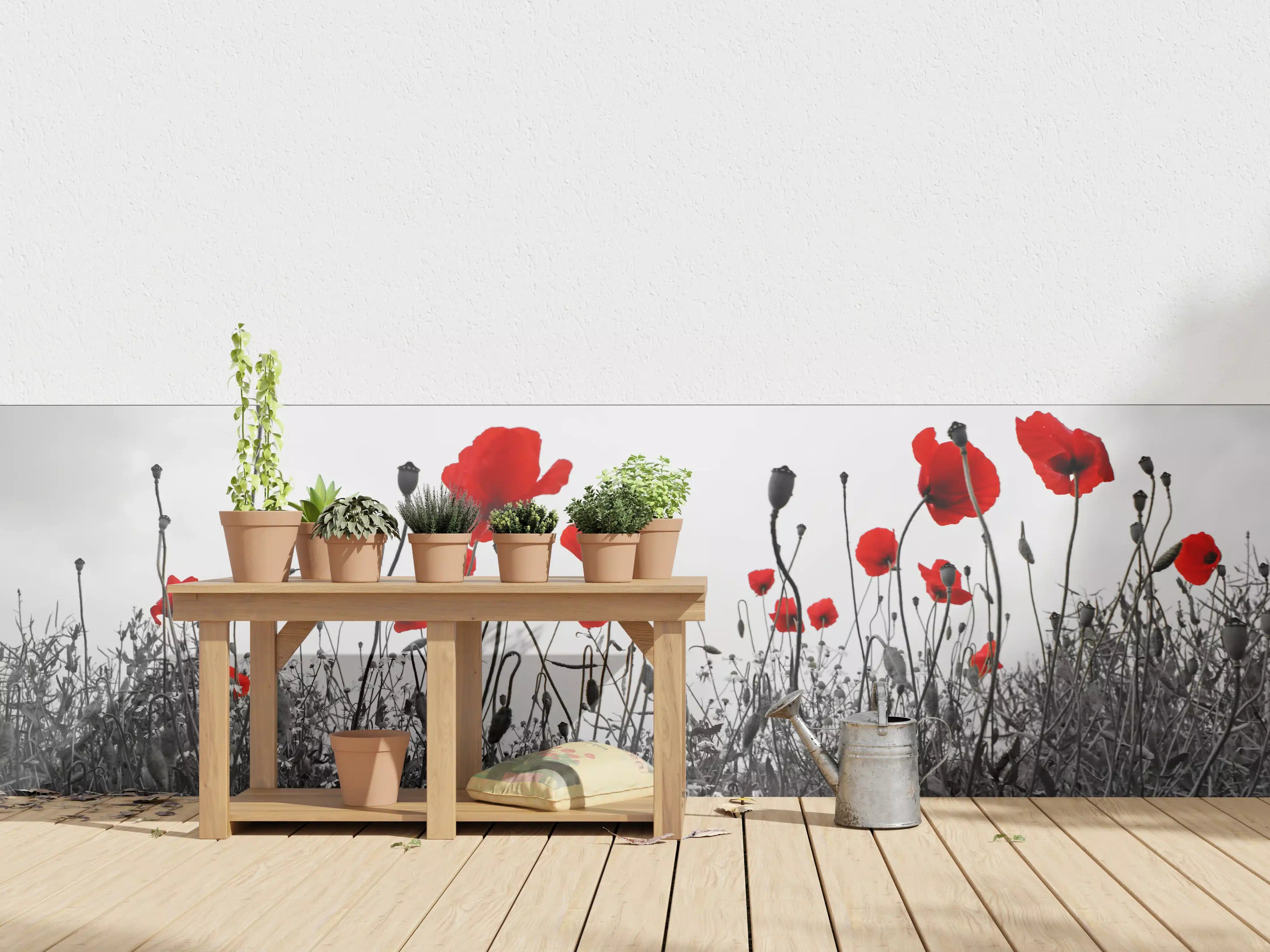 Wandverkleidung außen - Leuchtende Mohnblumen in Schwarz-Weiß-Kontrast