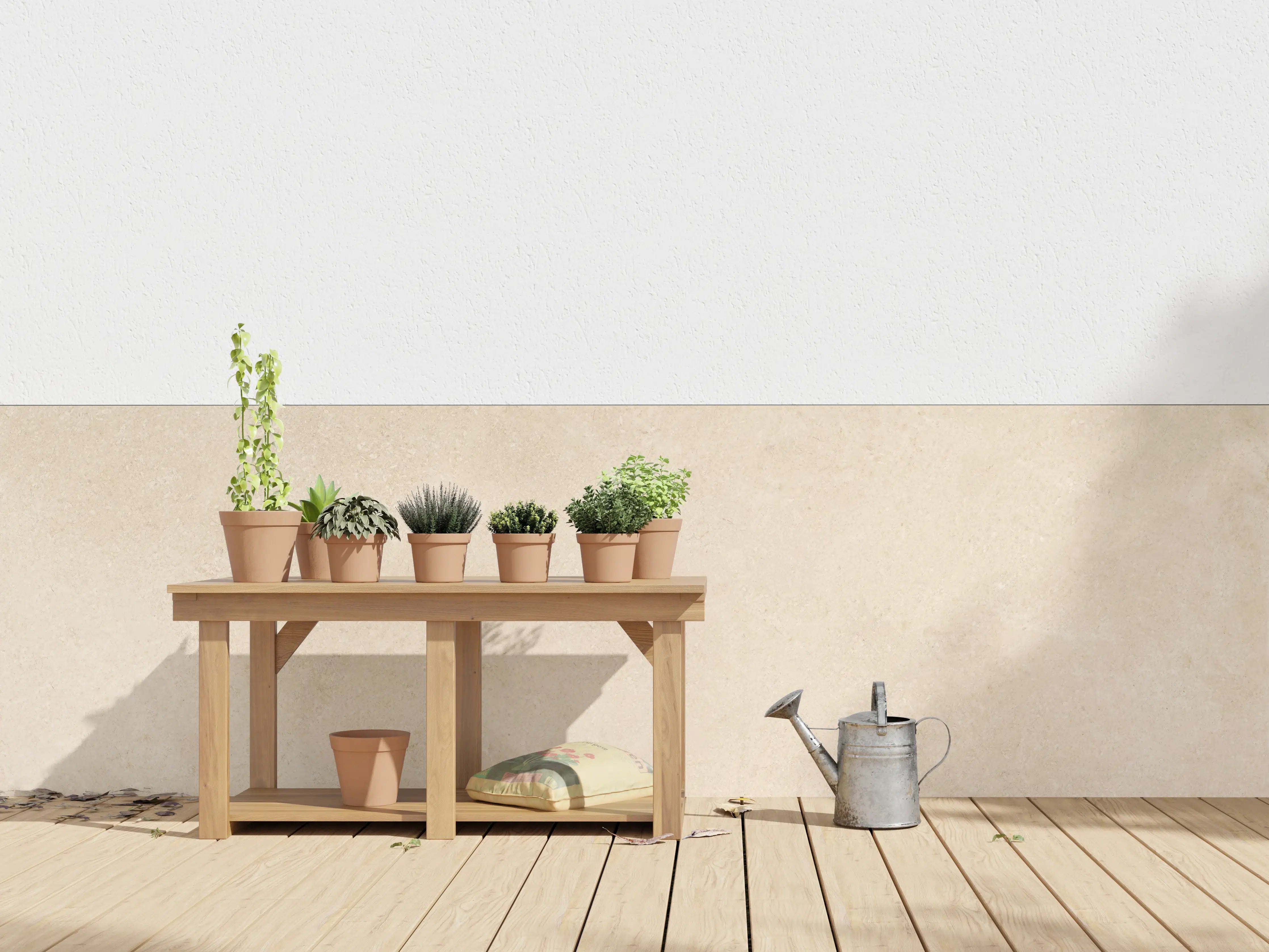 Wandverkleidung außen - Limestone Marble Cream Texture