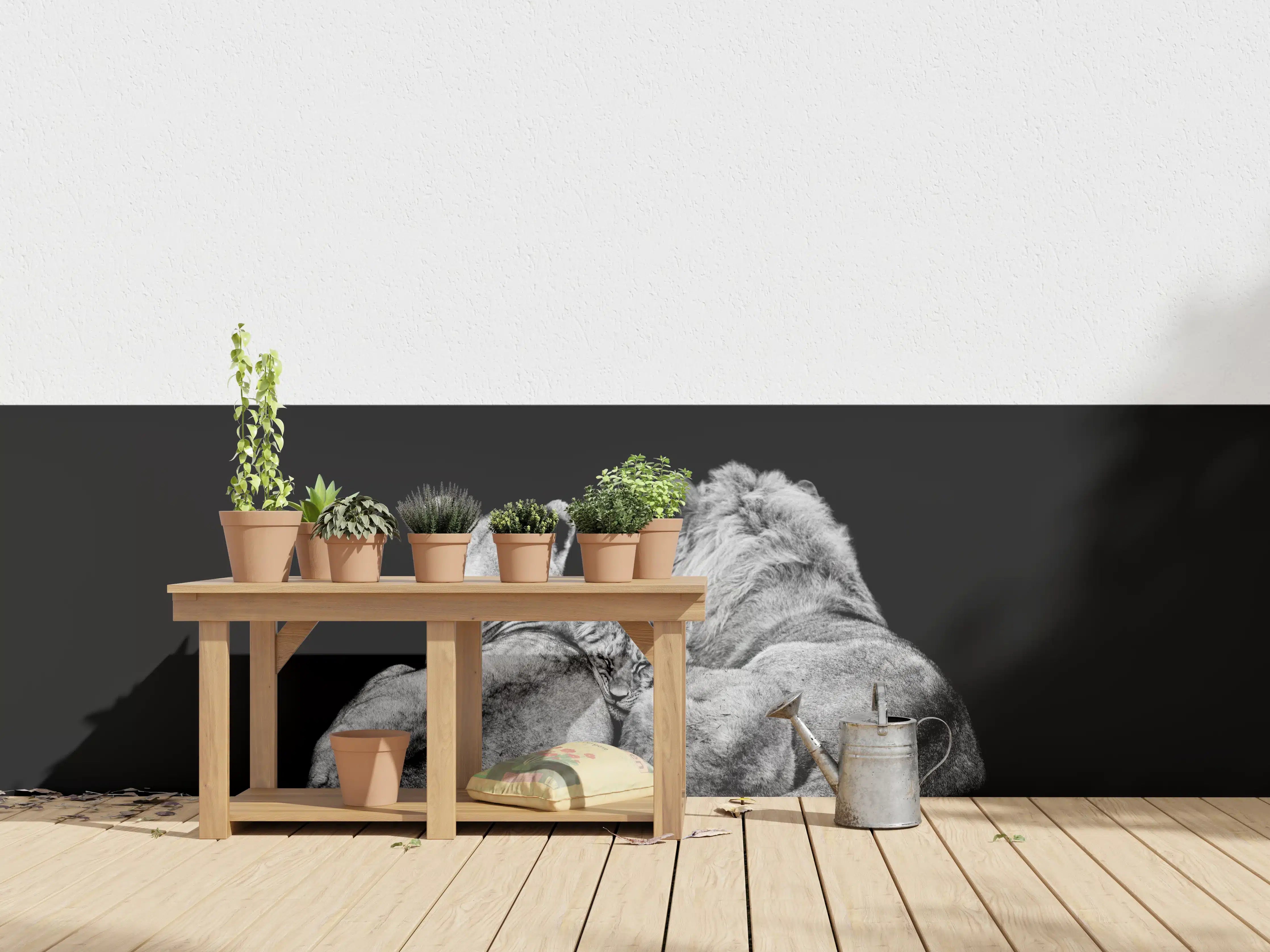 Wandverkleidung außen - Löwenfamilie liegend mit schwarzem Hintergrund