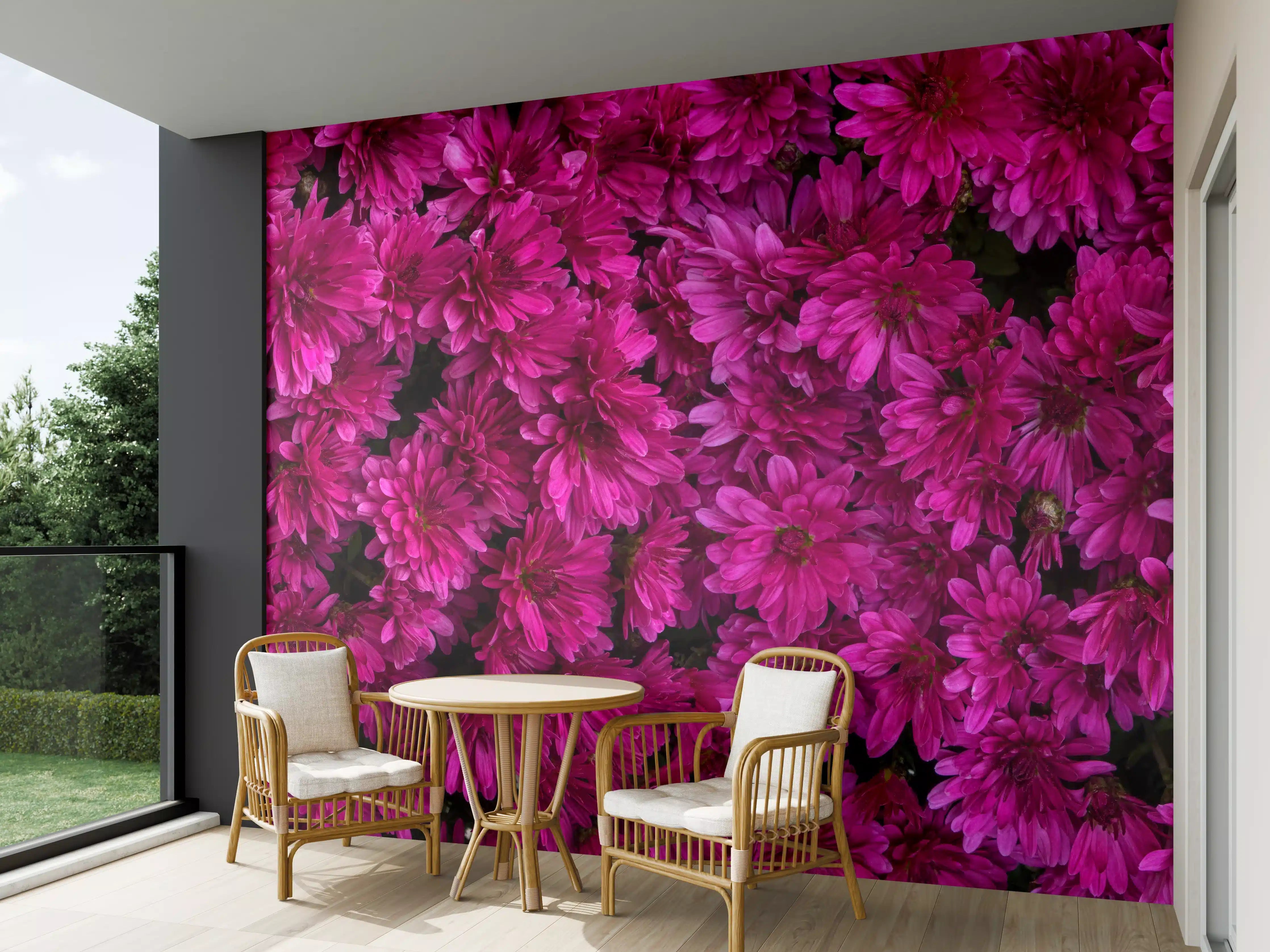 Wandverkleidung außen - Magenta Blüten von Chrysanthemen
