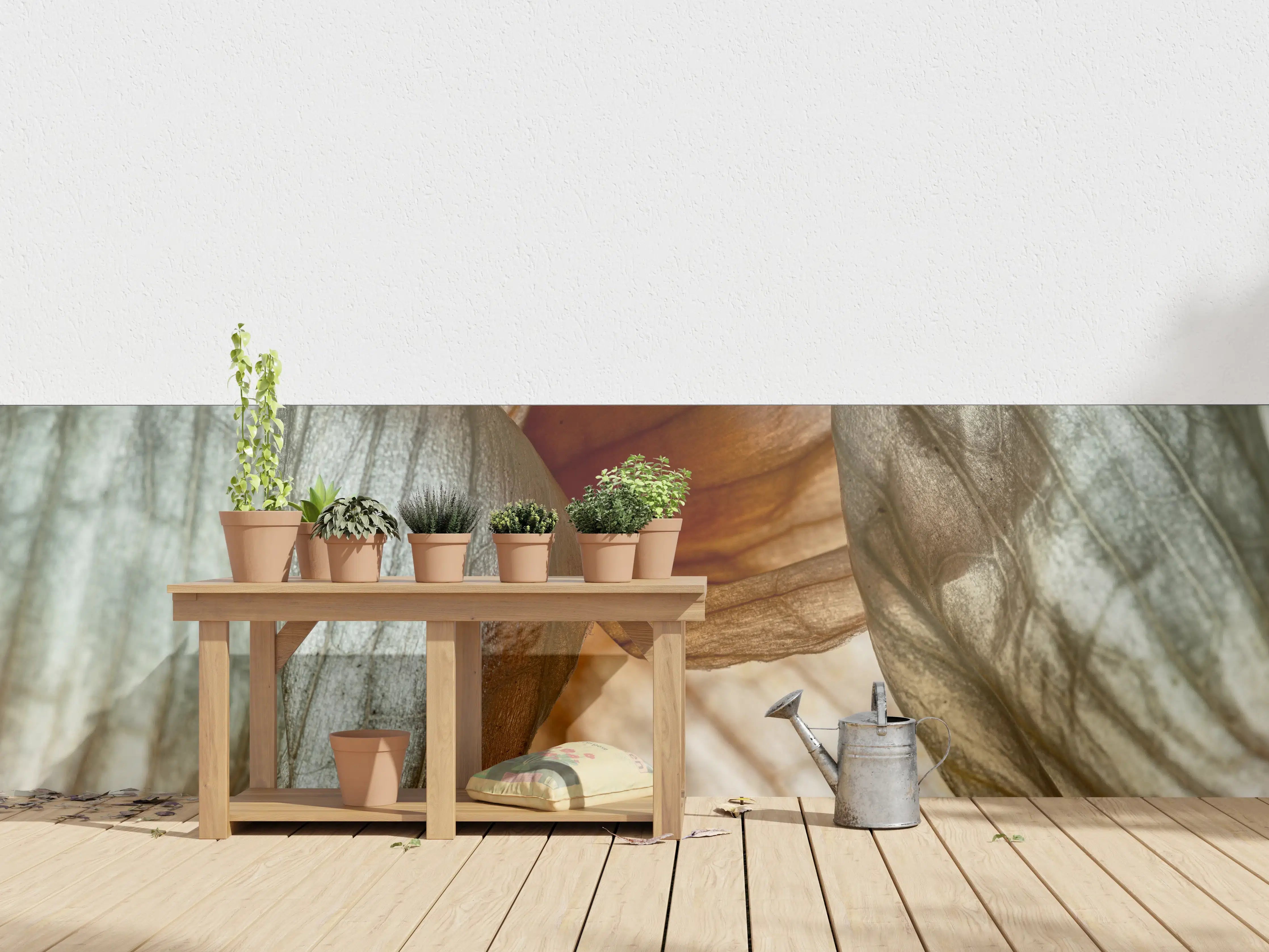 Wandverkleidung außen - Makrofotografie der Schalenblatttextur einer Zwiebel
