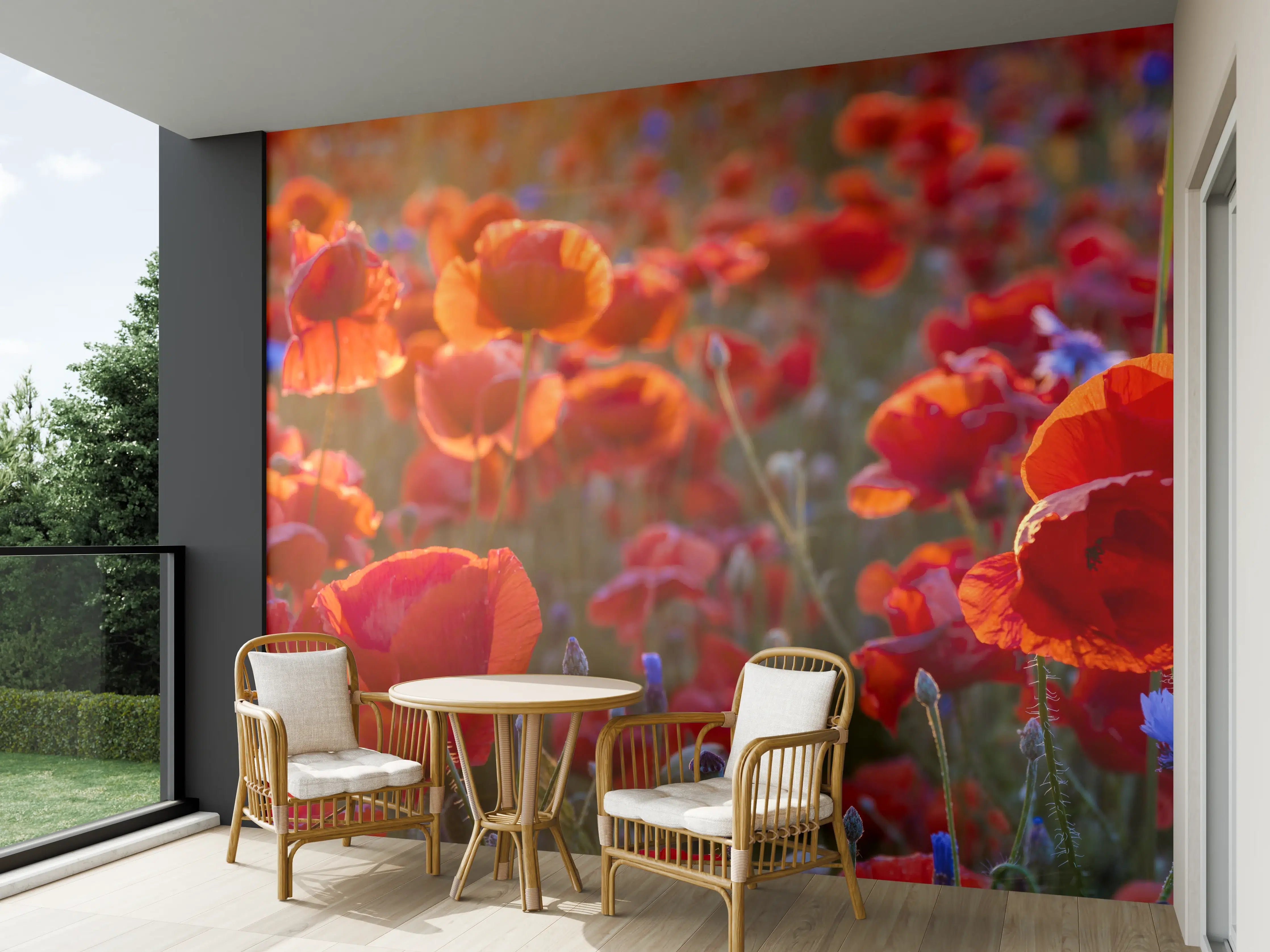 Wandverkleidung außen - Mohnwiese im Licht der untergehenden Sonne