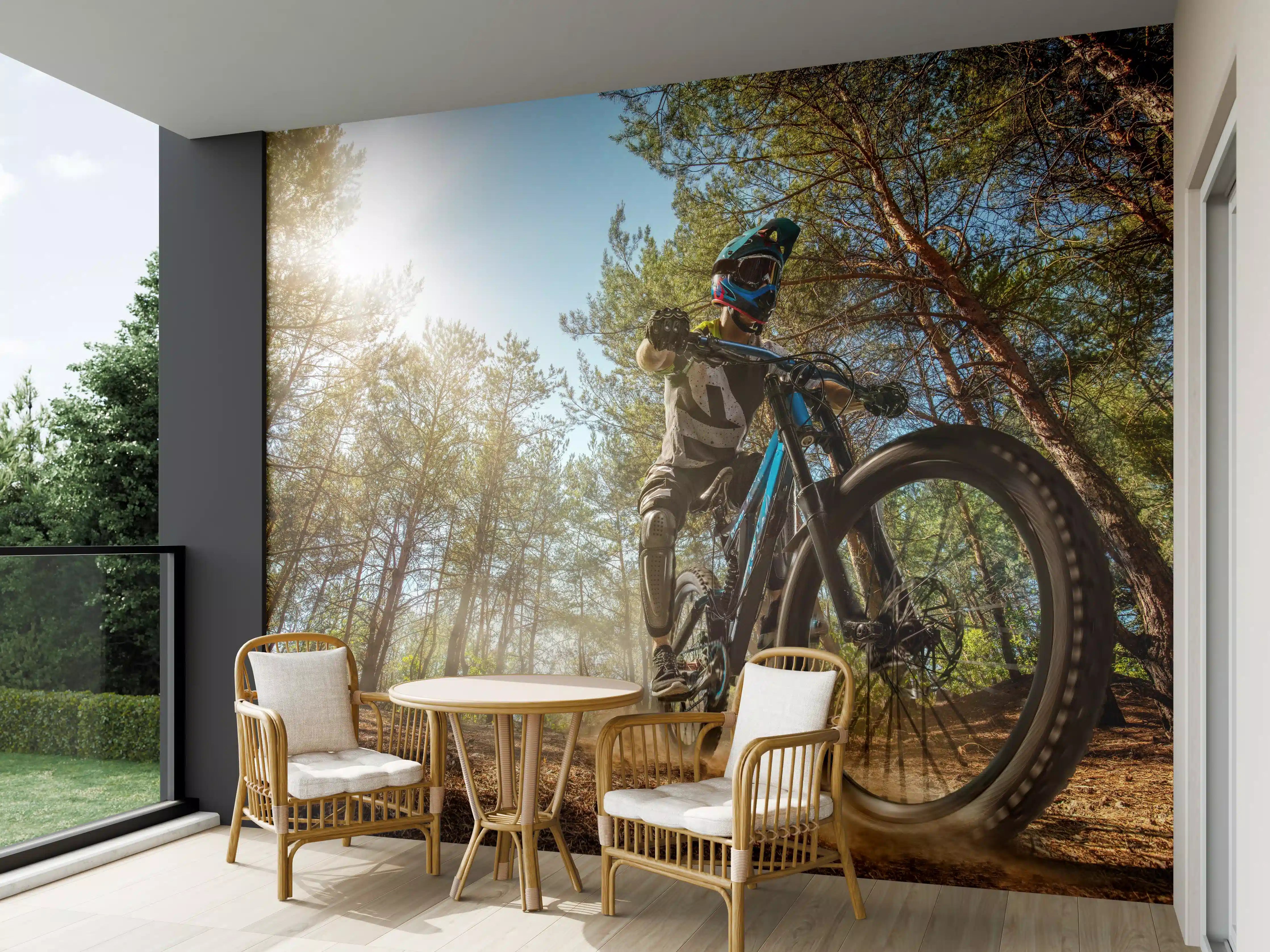 Wandverkleidung außen - Mountainbiker auf Waldweg