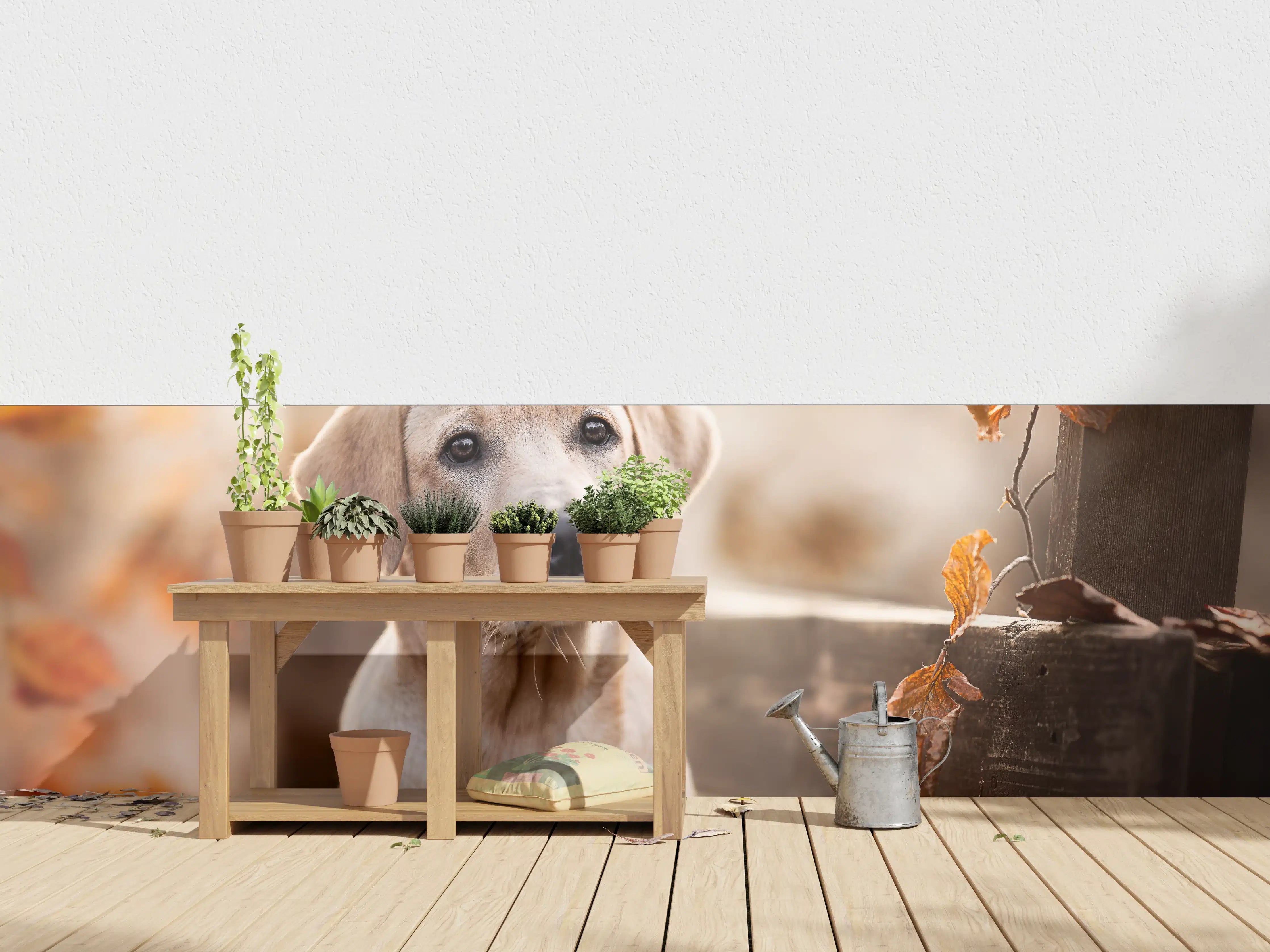 Wandverkleidung außen - Niedlicher Labrador Welpe