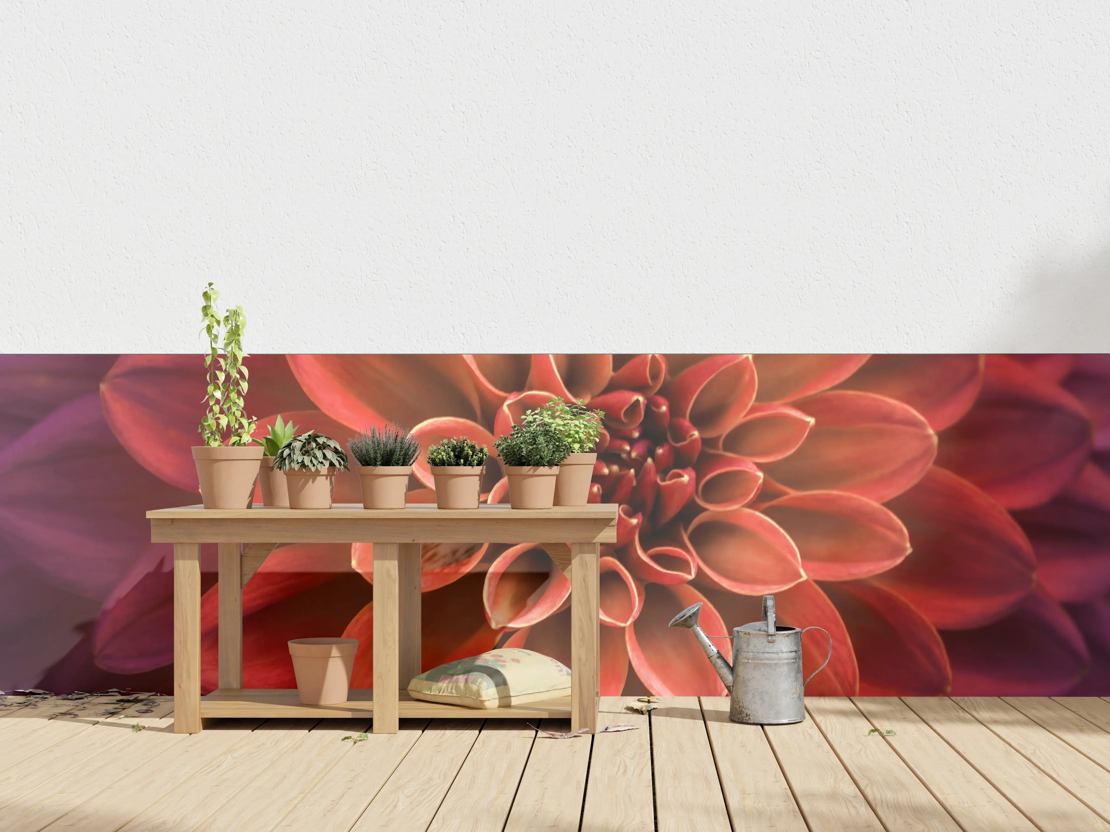 Wandverkleidung außen - Ombre Rote Blüte mit intensiven Farben