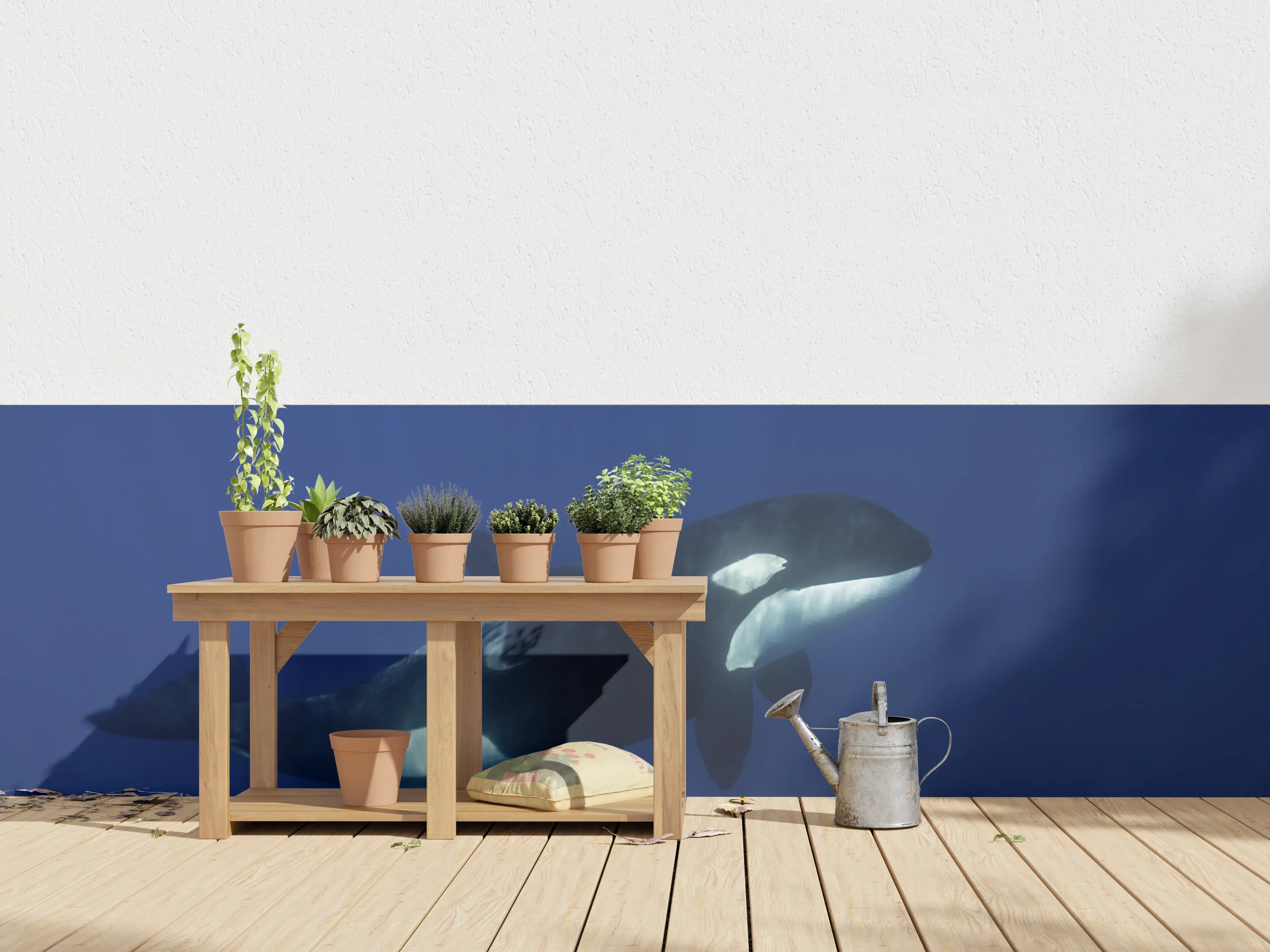 Wandverkleidung außen - Orca im blauen Pazifik