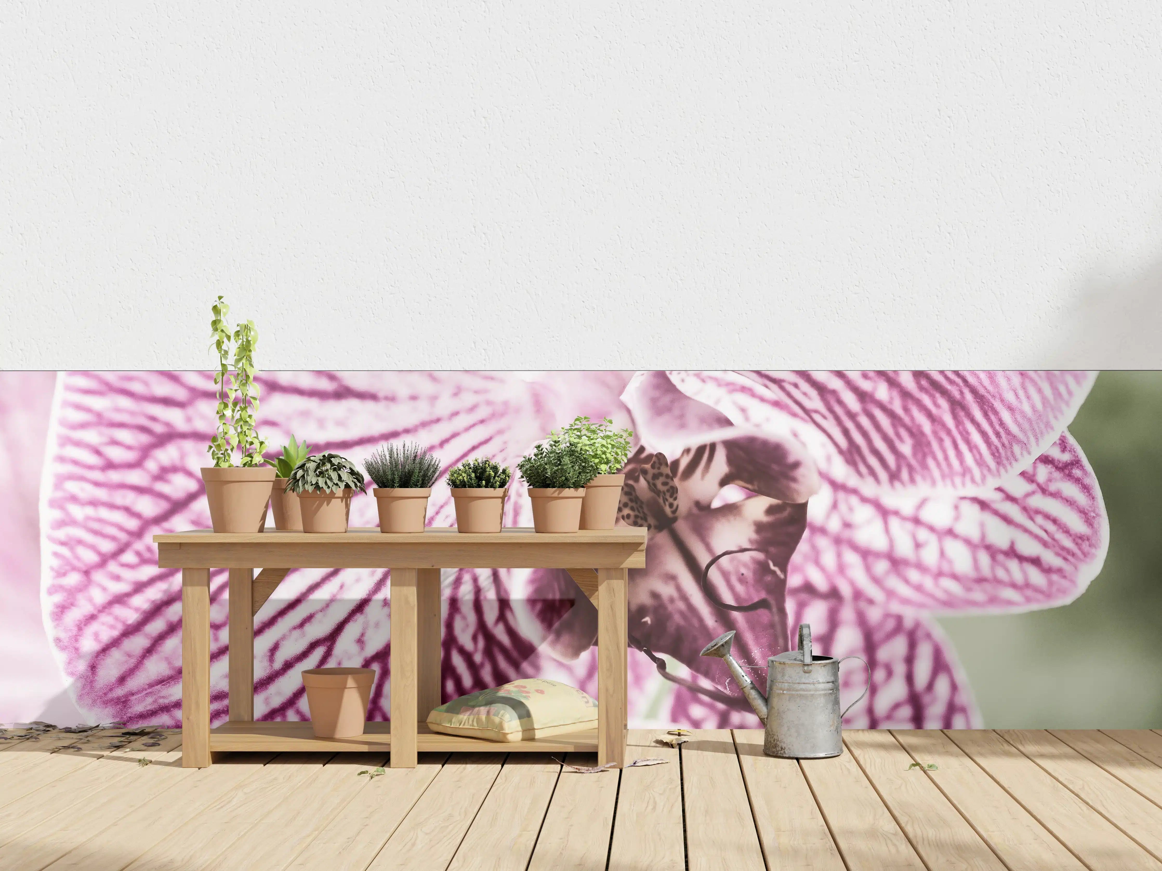Wandverkleidung außen - Orchideen Makro Pink-Lila