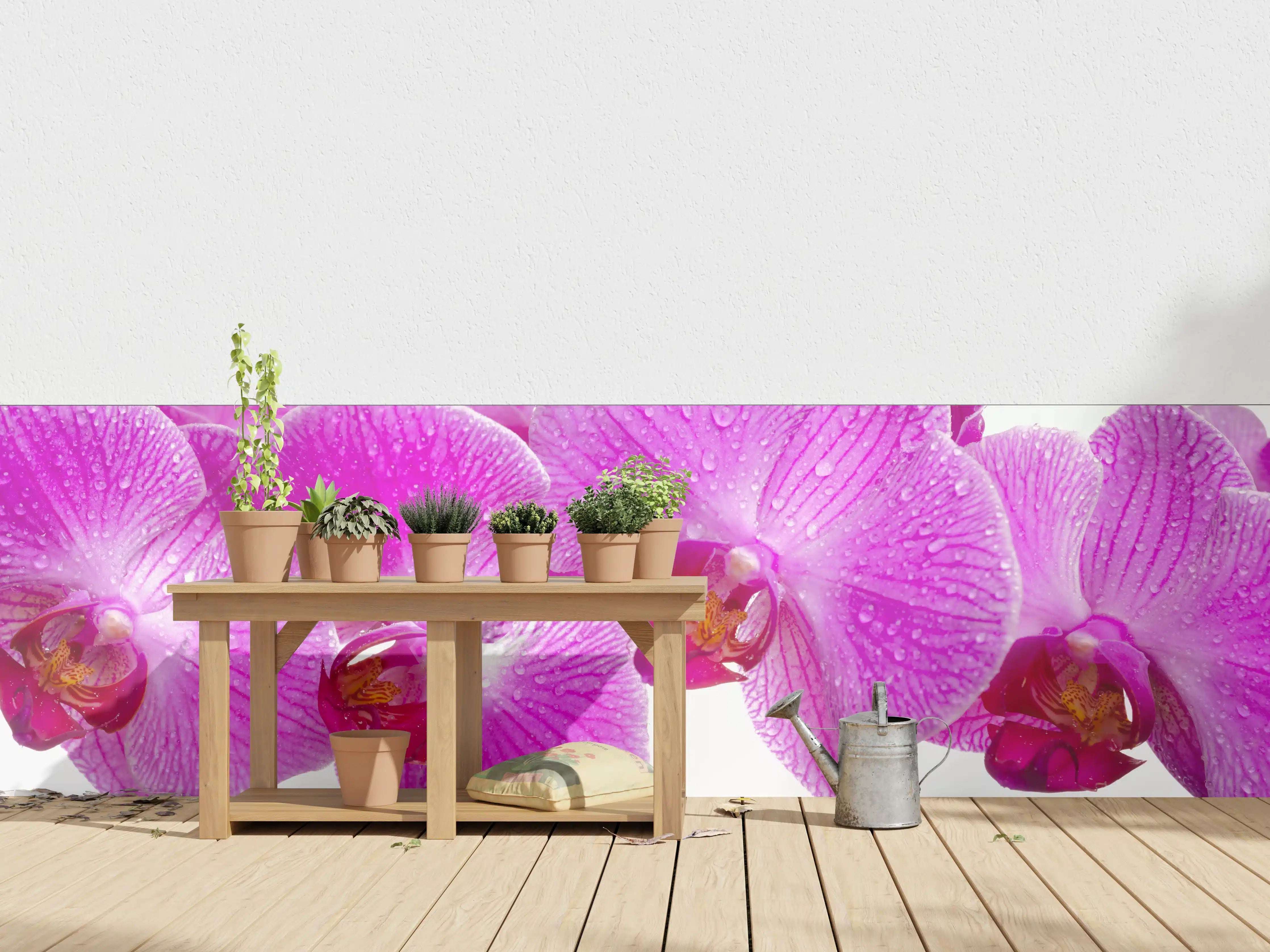 Wandverkleidung außen - Pinke Orchideen