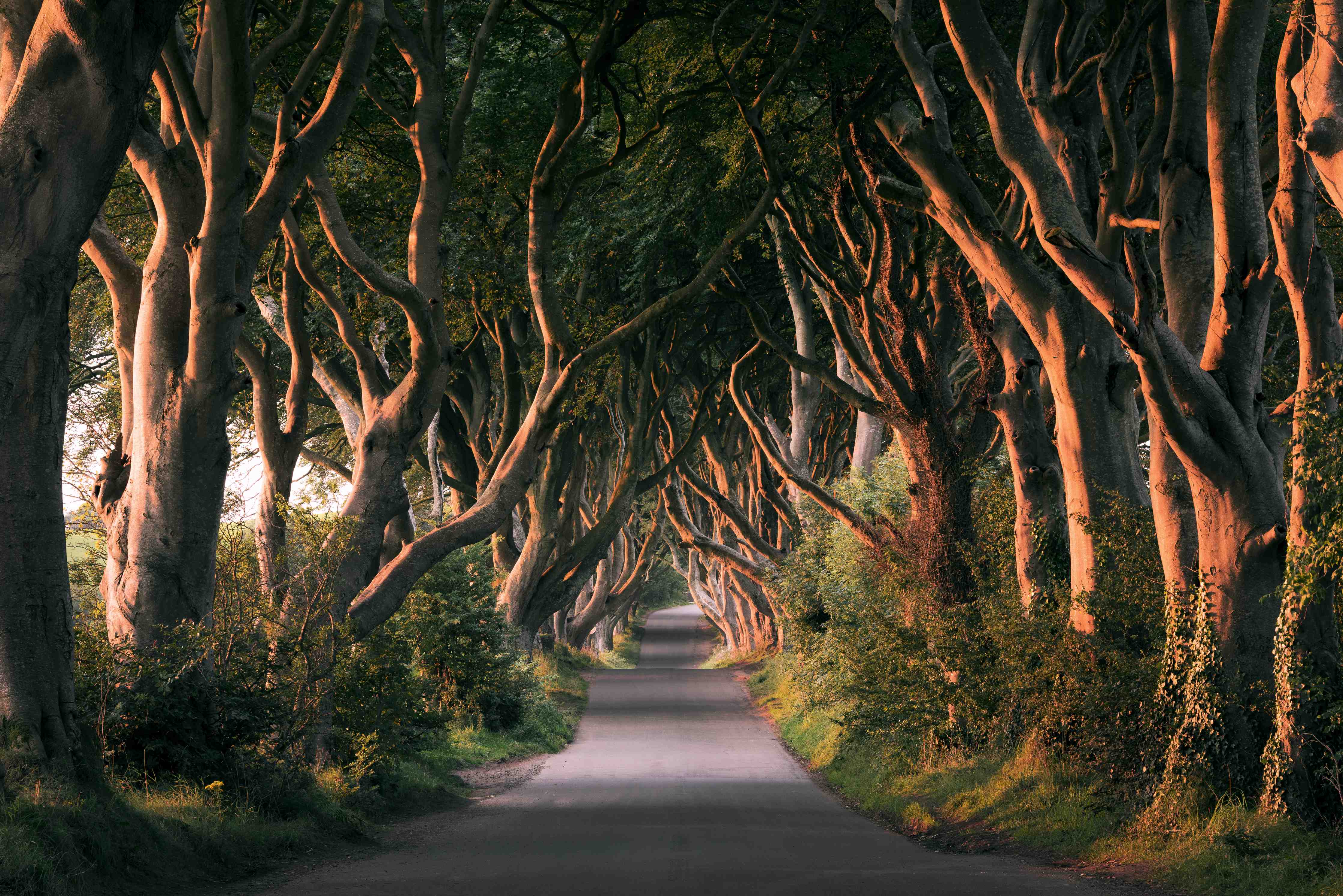 Wandverkleidung außen-Red Avenue