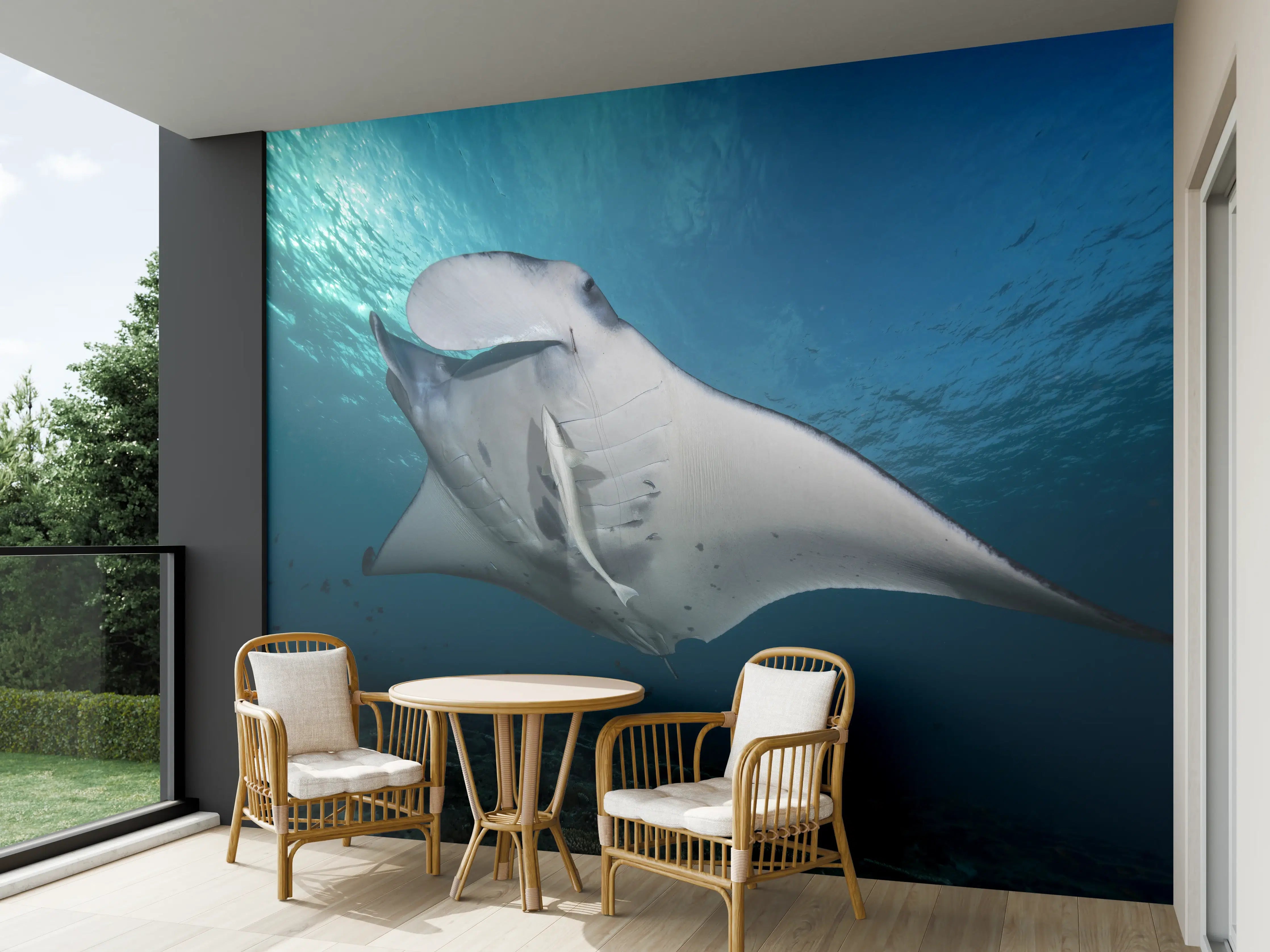 Wandverkleidung außen - Riff-Manta Unterwasser