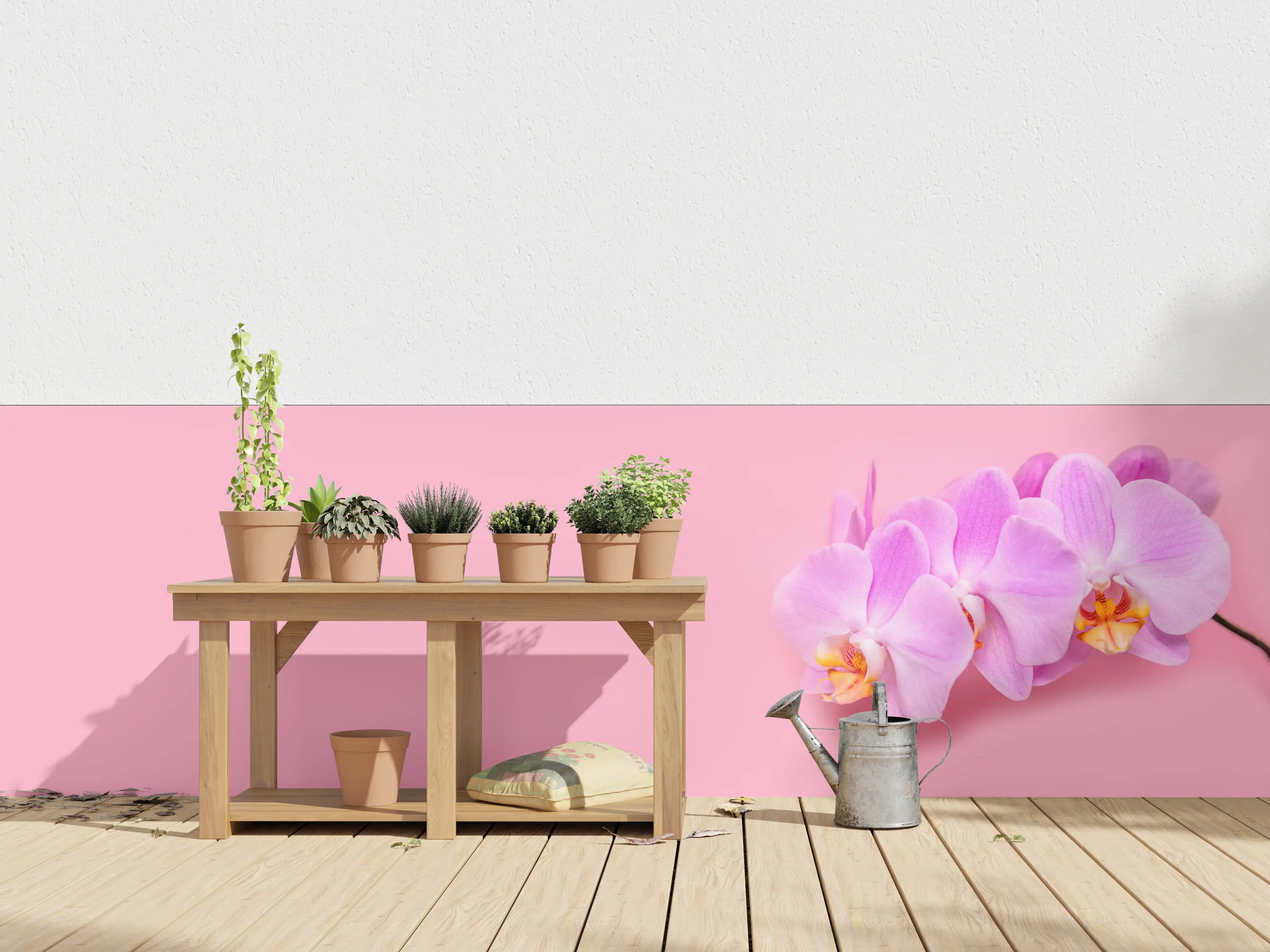 Wandverkleidung außen - Rosa Orchideen auf Pink