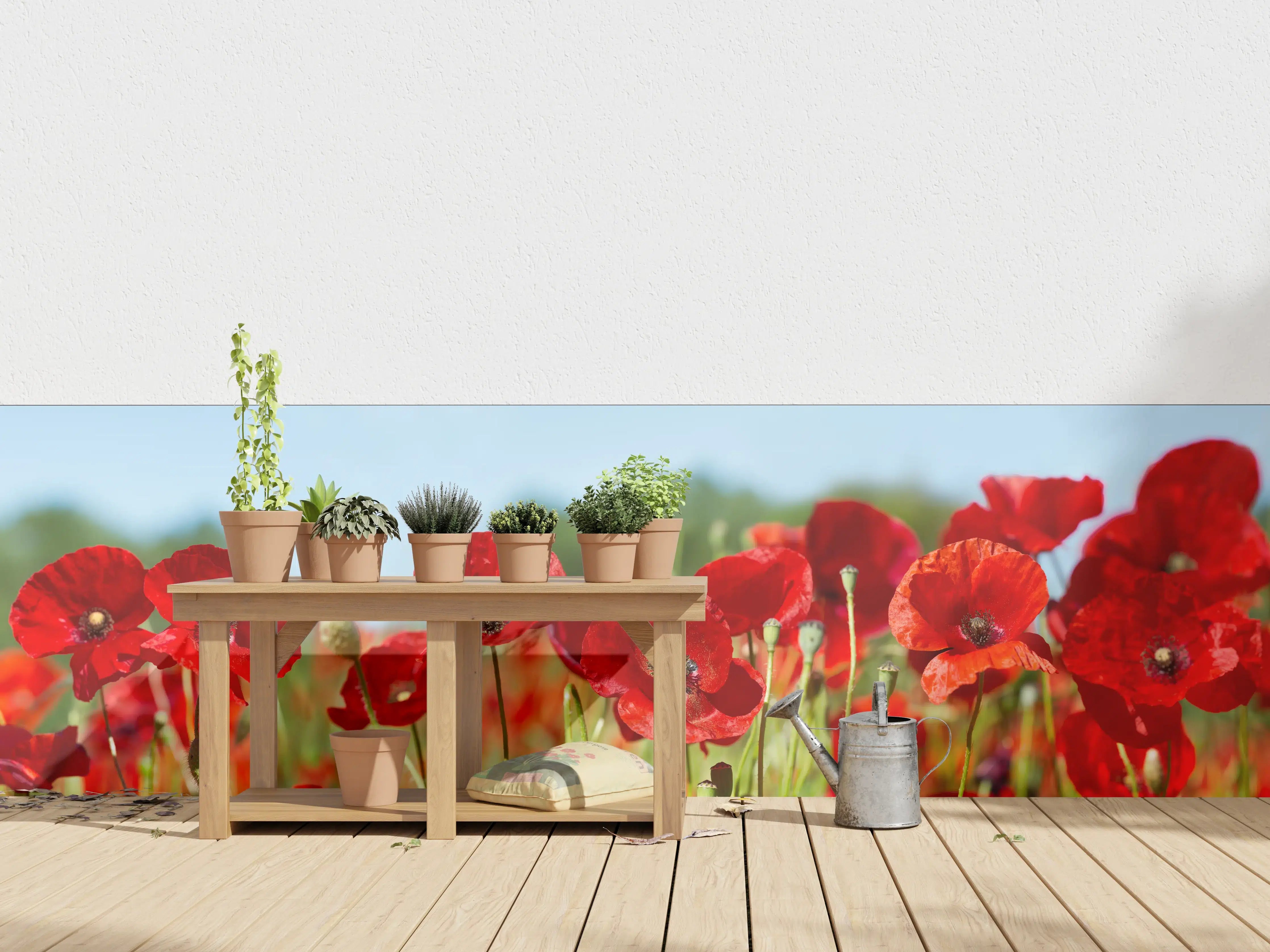 Wandverkleidung außen - Rote Mohnblumen auf einem Feld