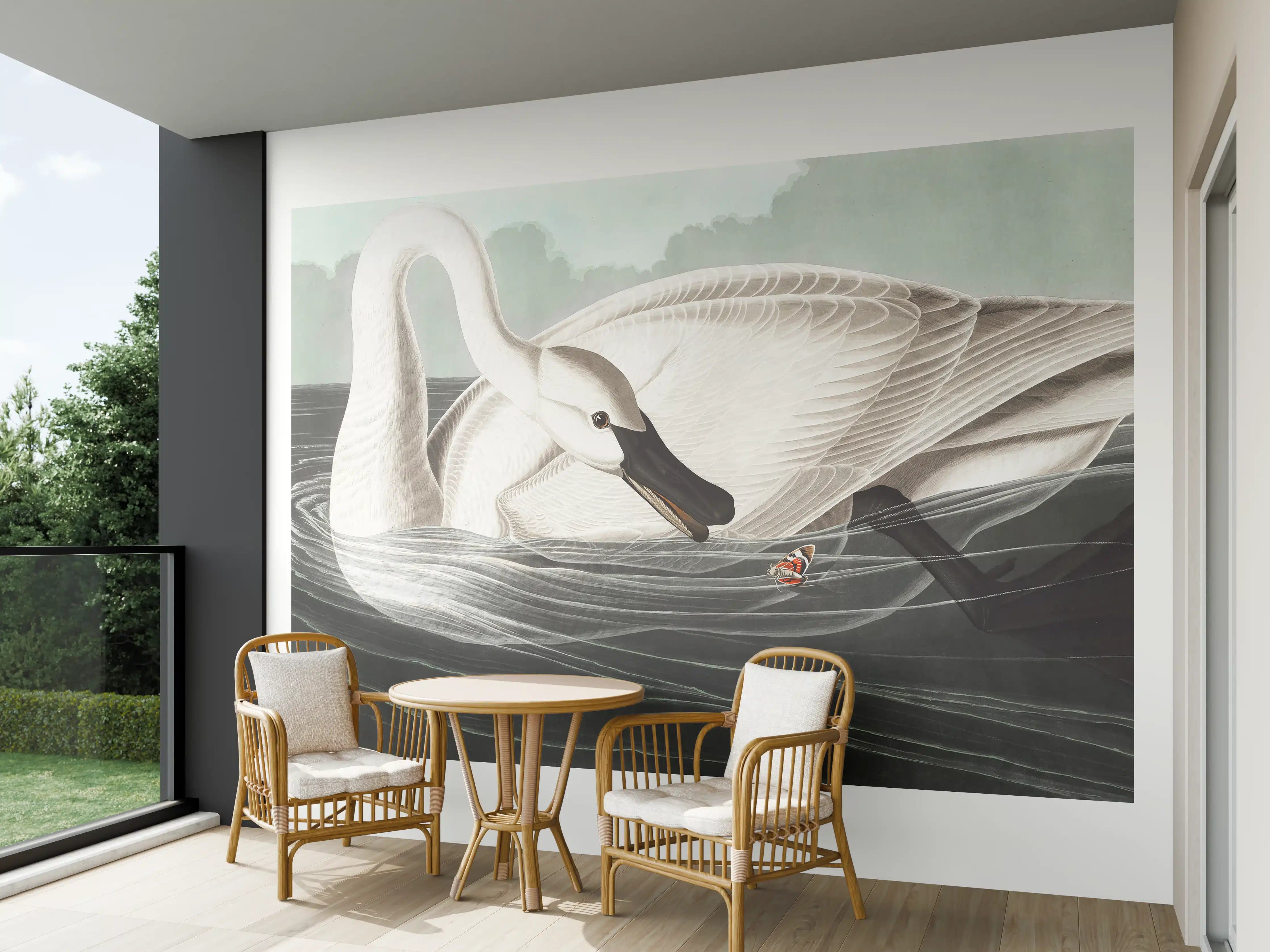 Wandverkleidung außen - Schneeweißer Schwan - John James Audubon