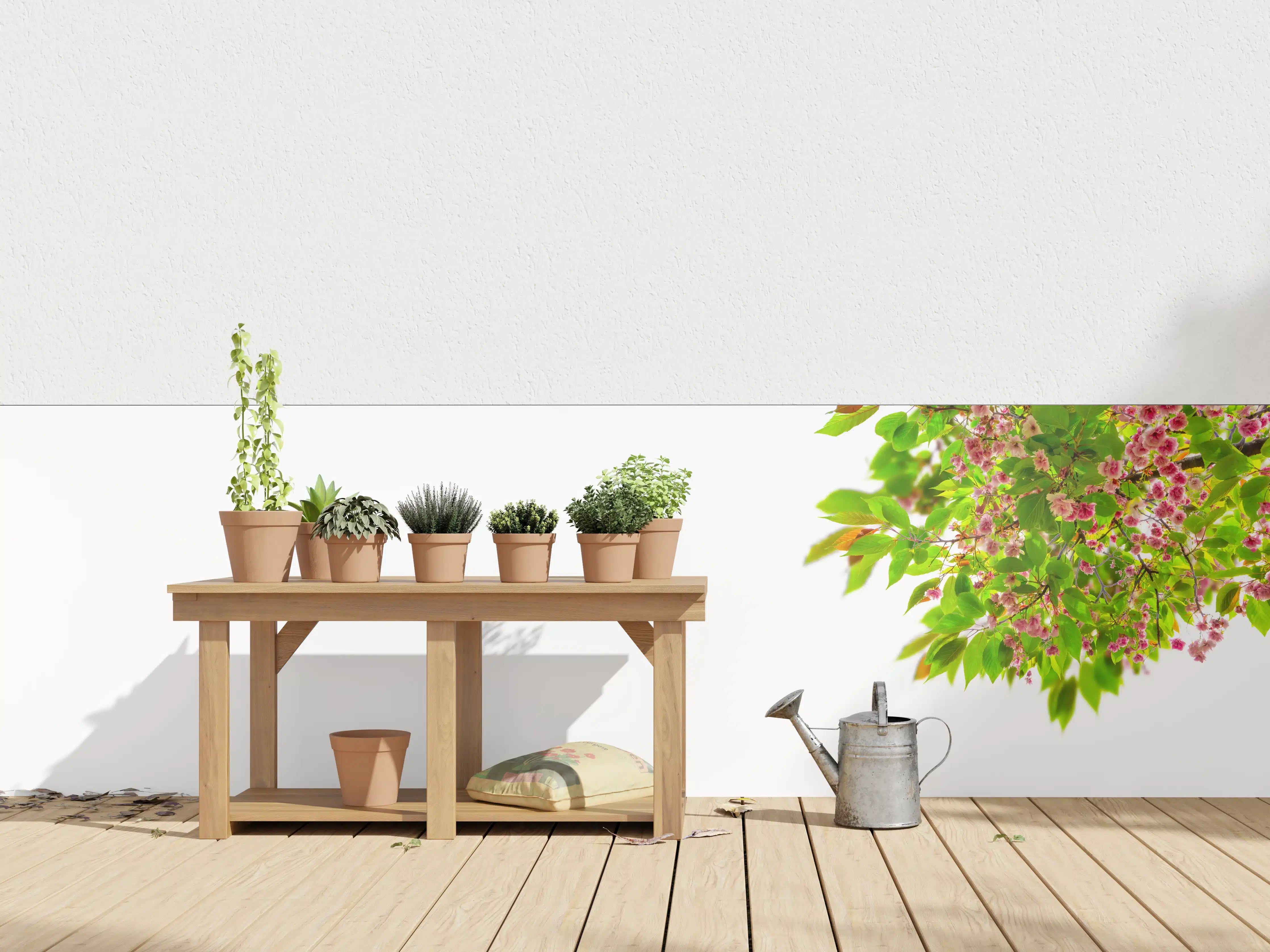 Wandverkleidung außen - Schöner Kirschblütenast