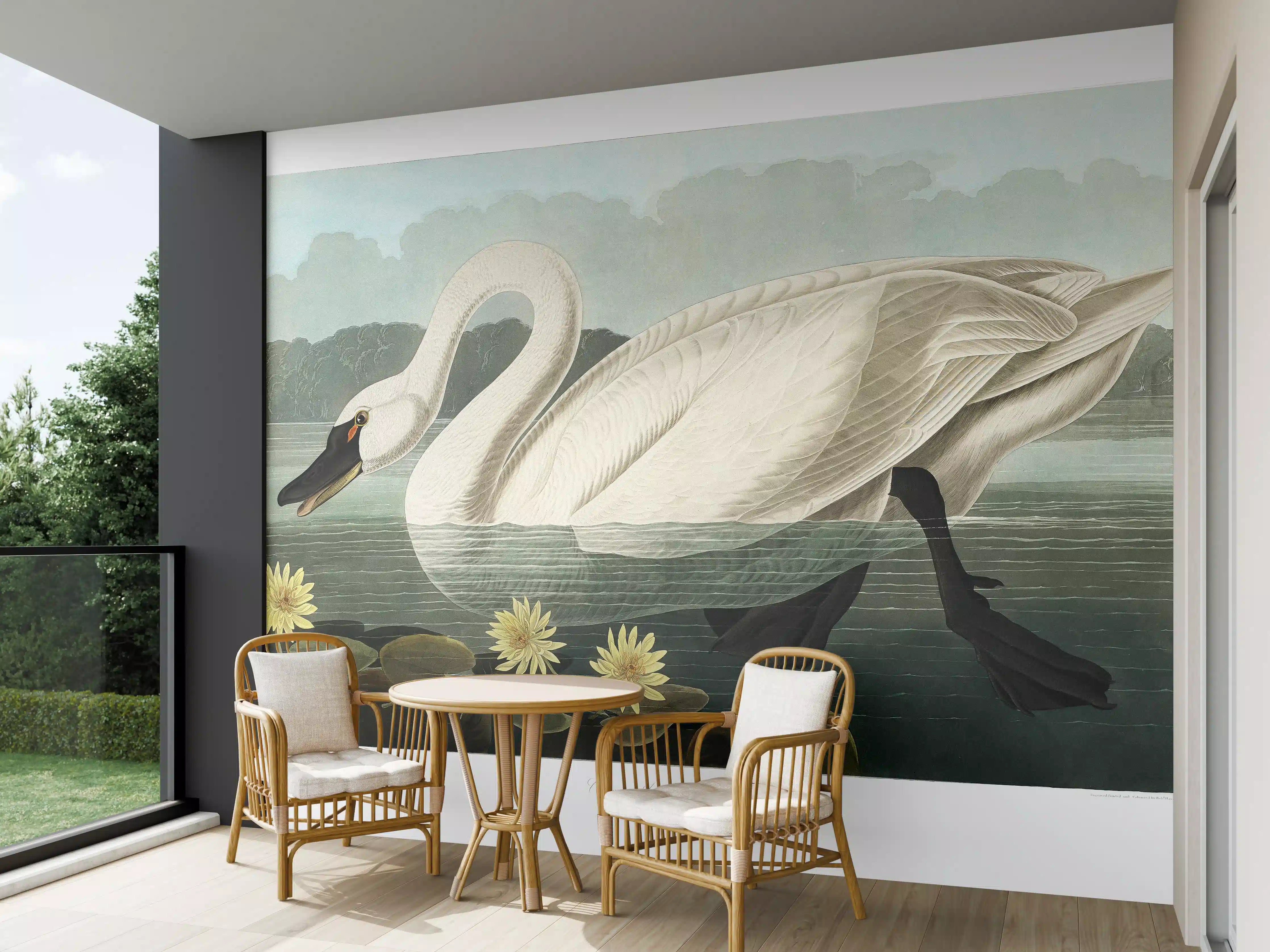 Wandverkleidung außen - Schwan Portait - Robert Havell