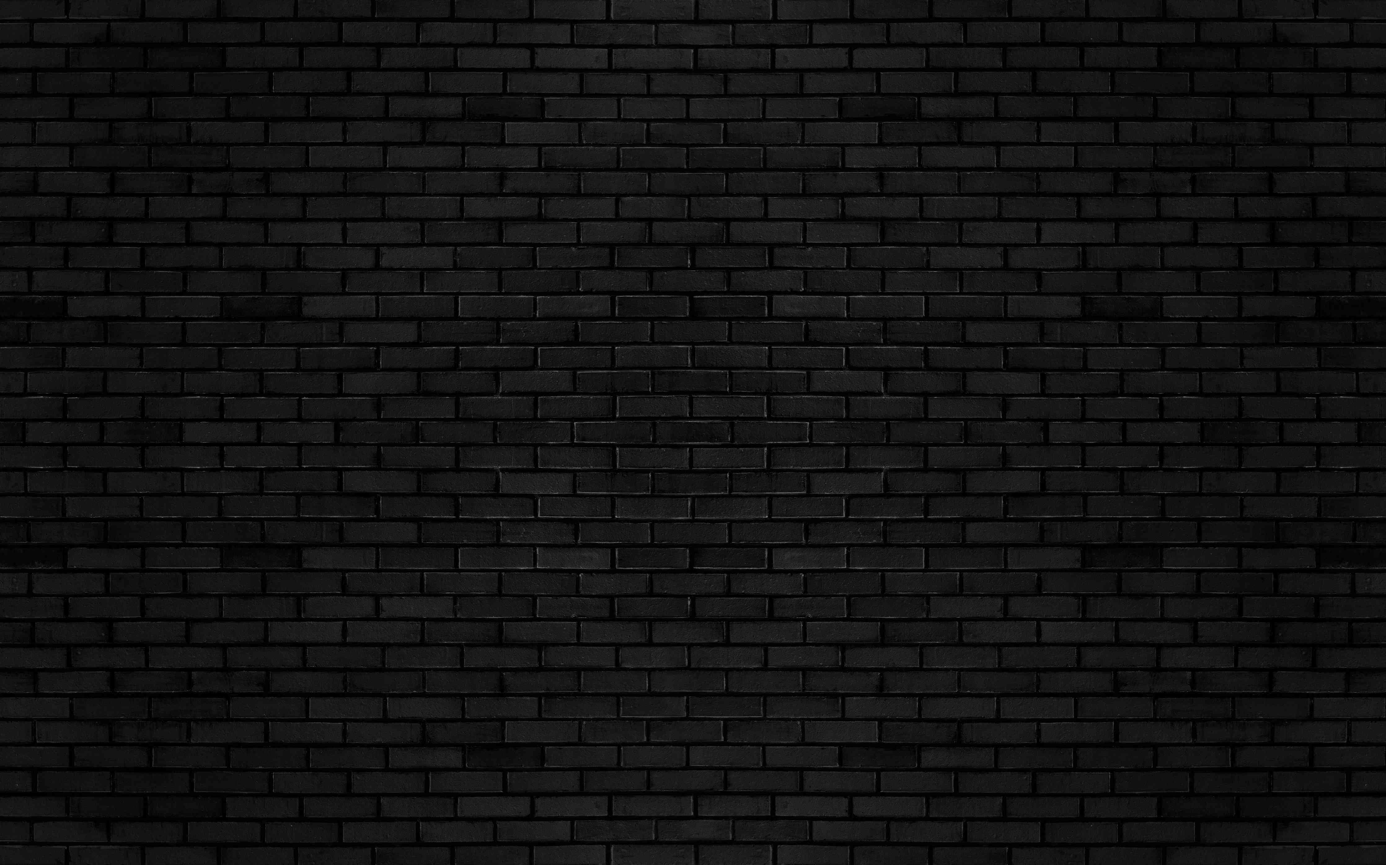 Wandverkleidung außen-Schwarze Backsteinmauer 1