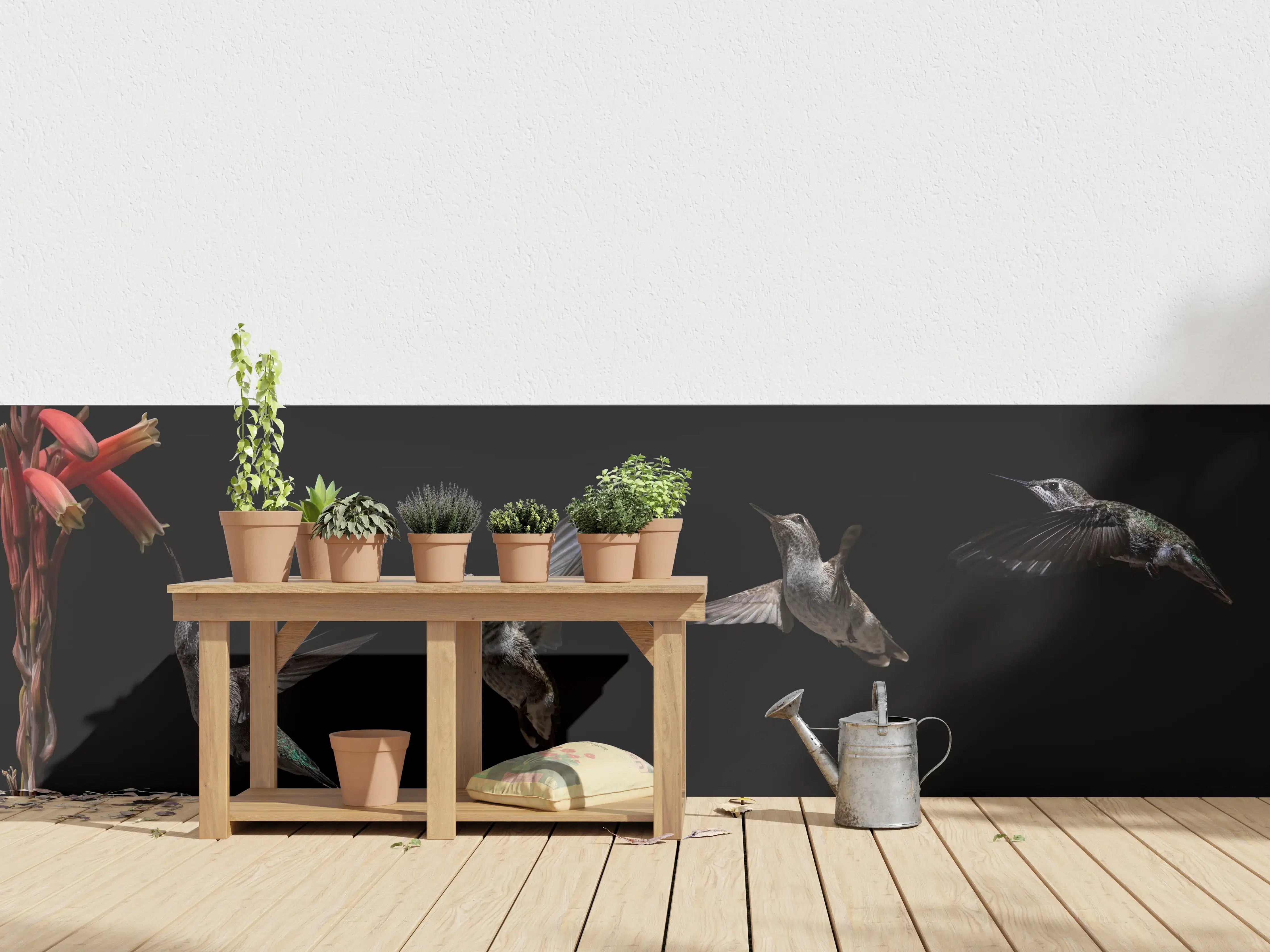Wandverkleidung außen - Schwarzkinnkolibri Vogel mit Schwarzem Hintergrund