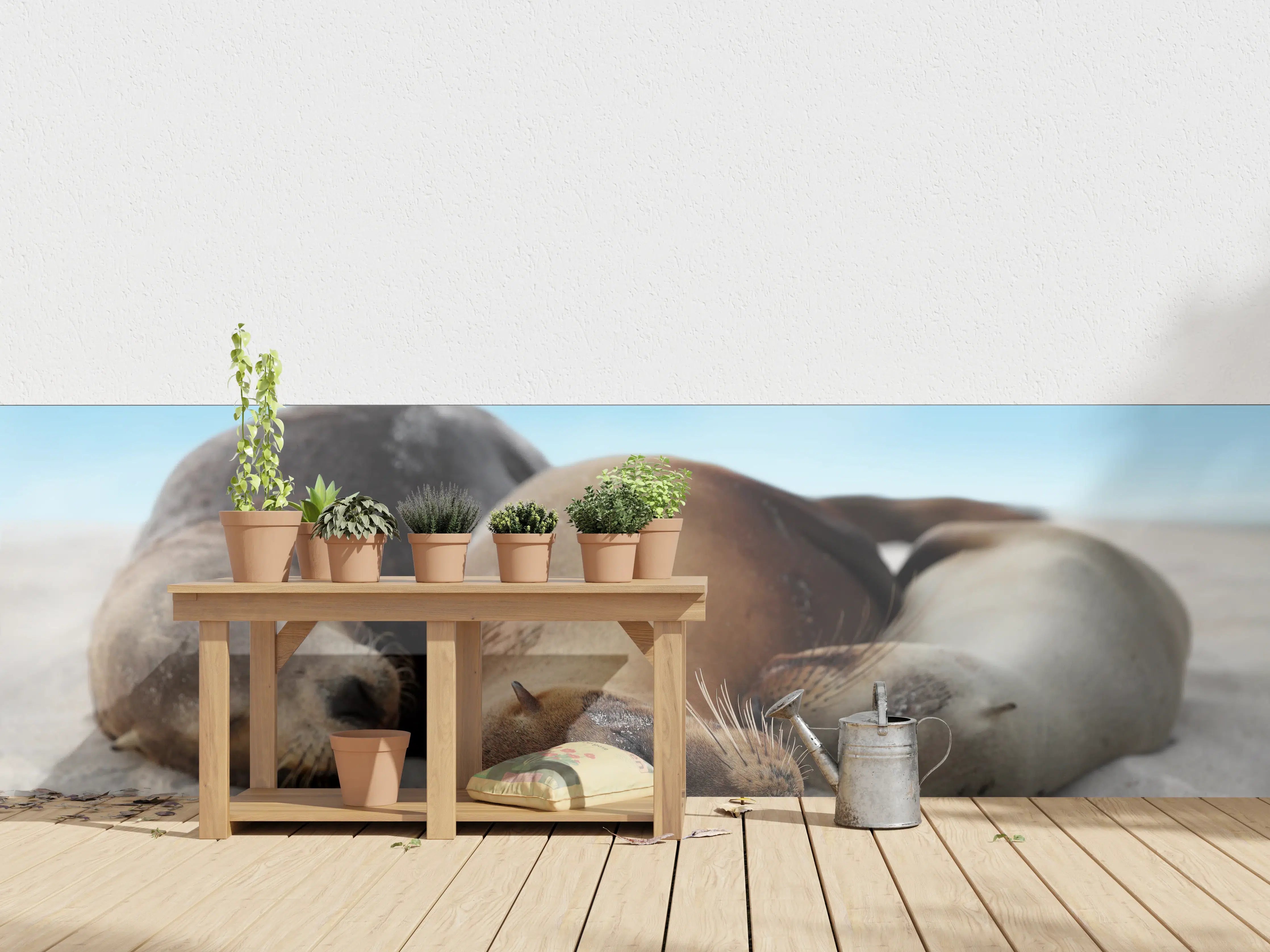 Wandverkleidung außen - Seelöwen im Sand liegend