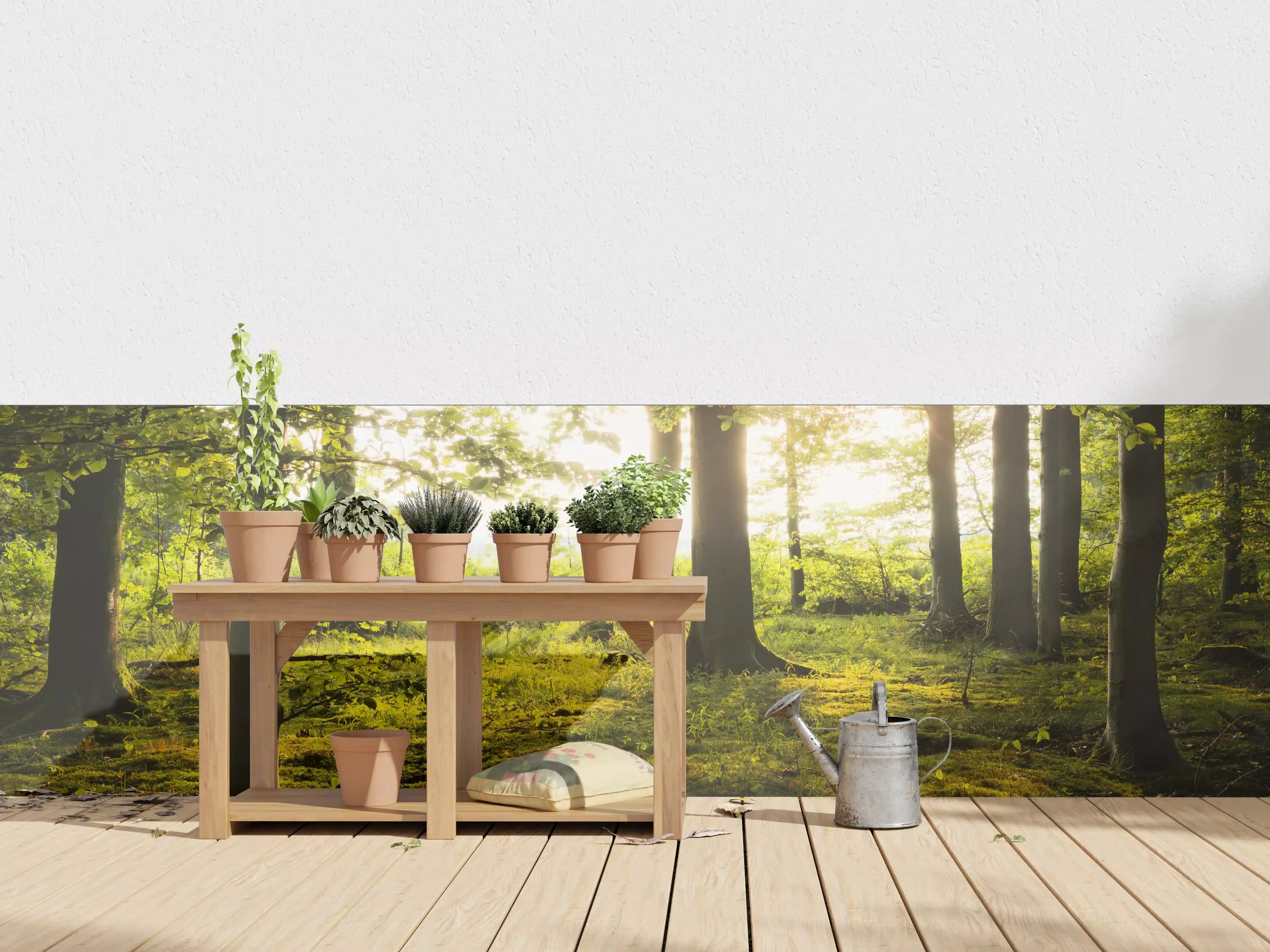 Wandverkleidung außen - Sommer Wald