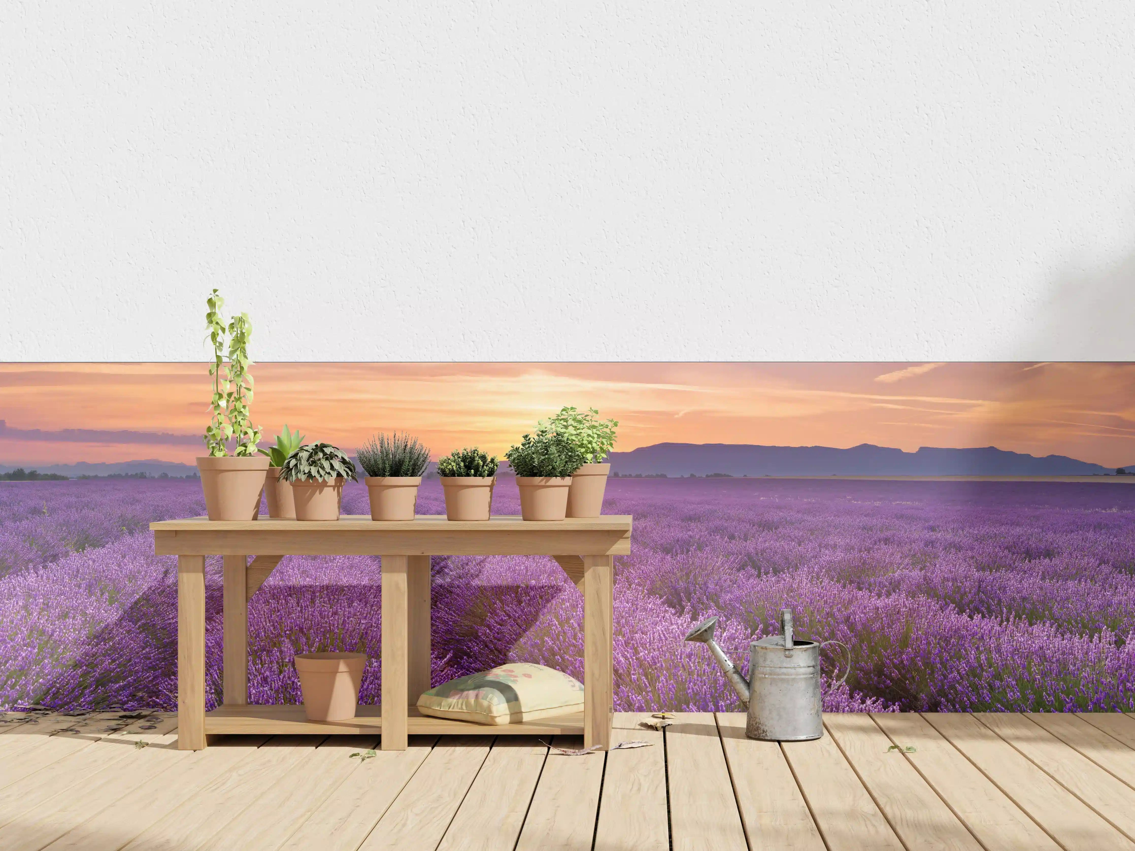 Wandverkleidung außen - Sonnenaufgang über Lavendelfelder - Provence