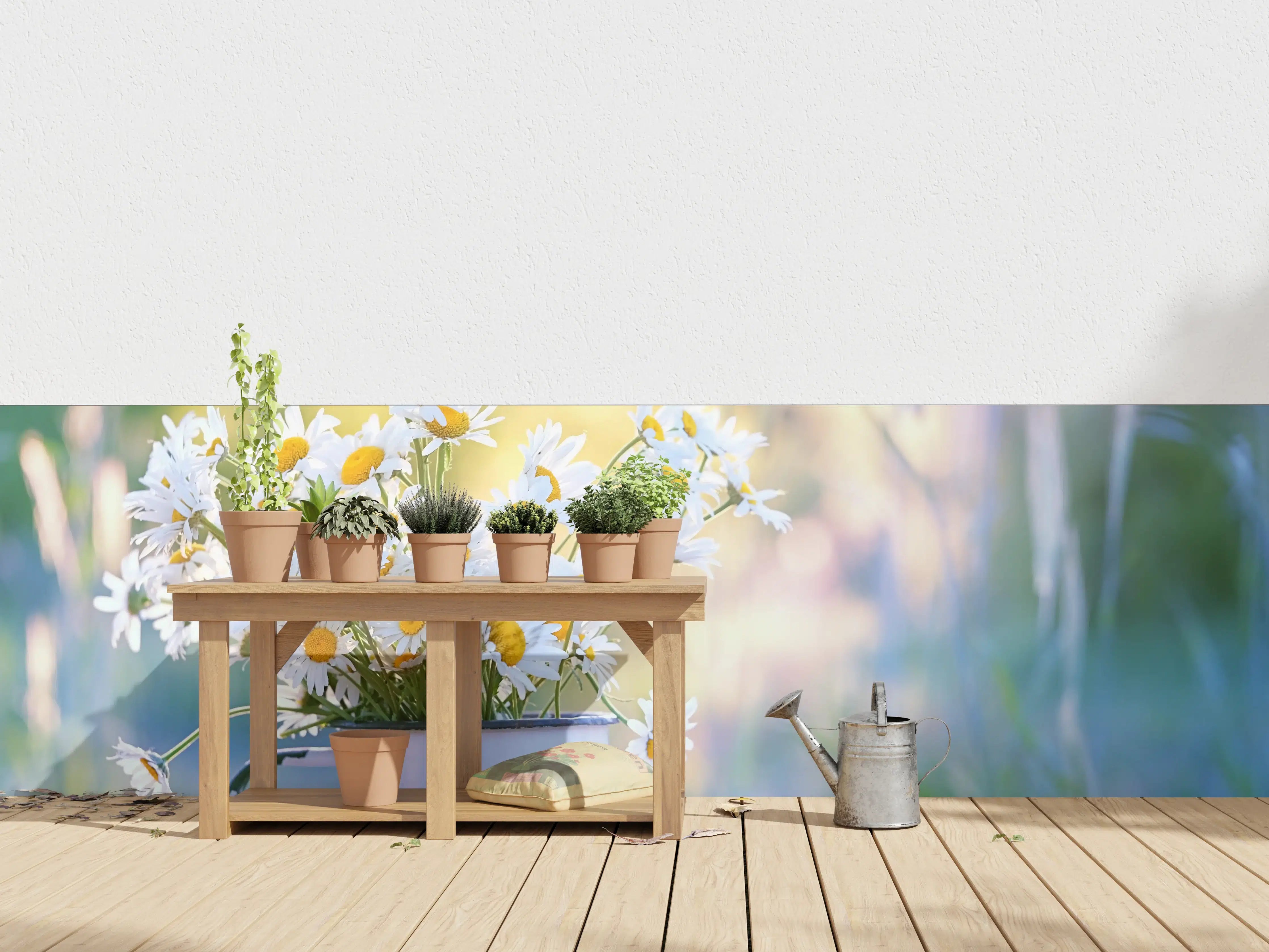 Wandverkleidung außen - Sonnenbeschienene Gänseblümchen