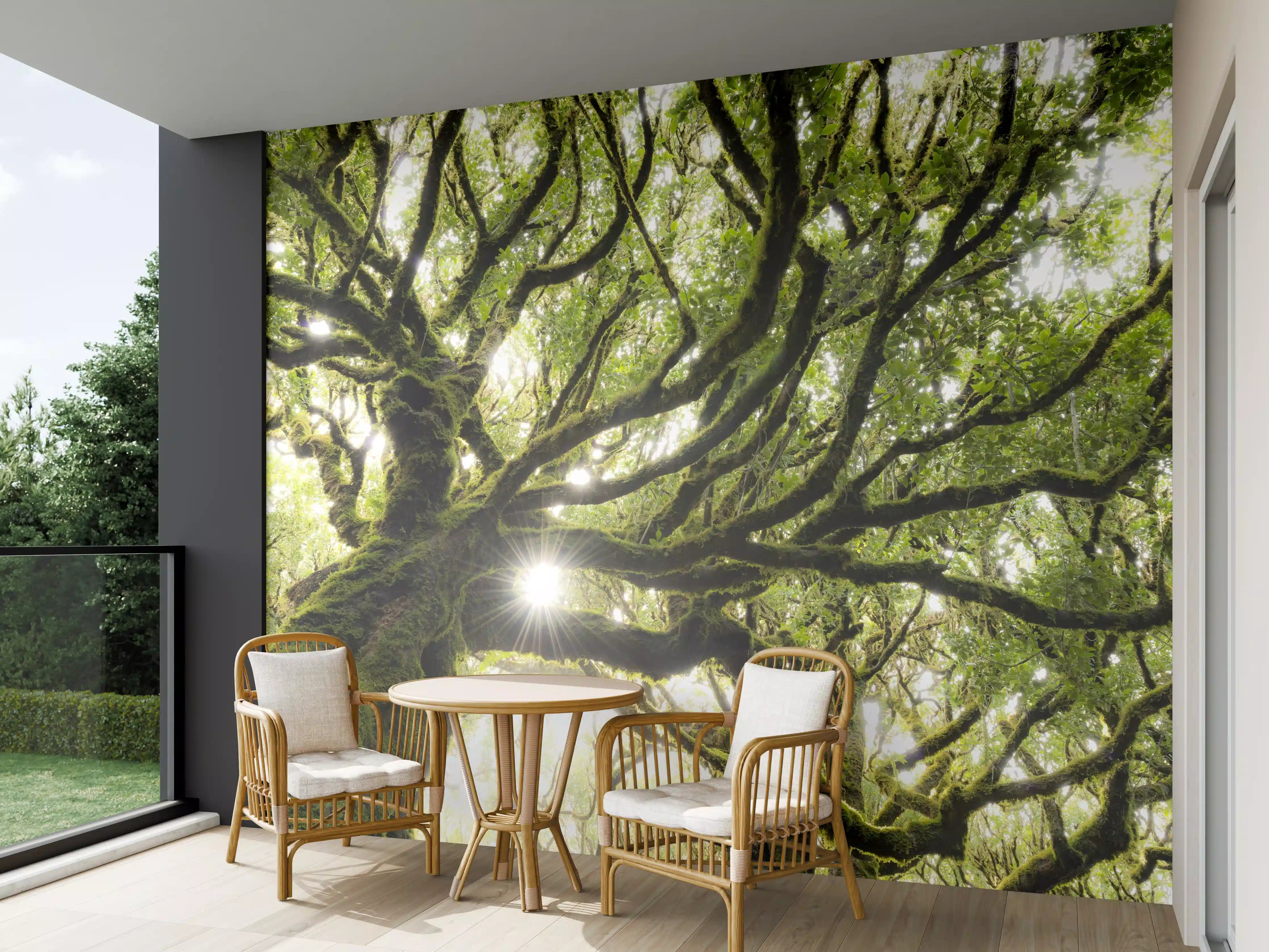 Wandverkleidung außen - Sonnenstrahlen im Wald