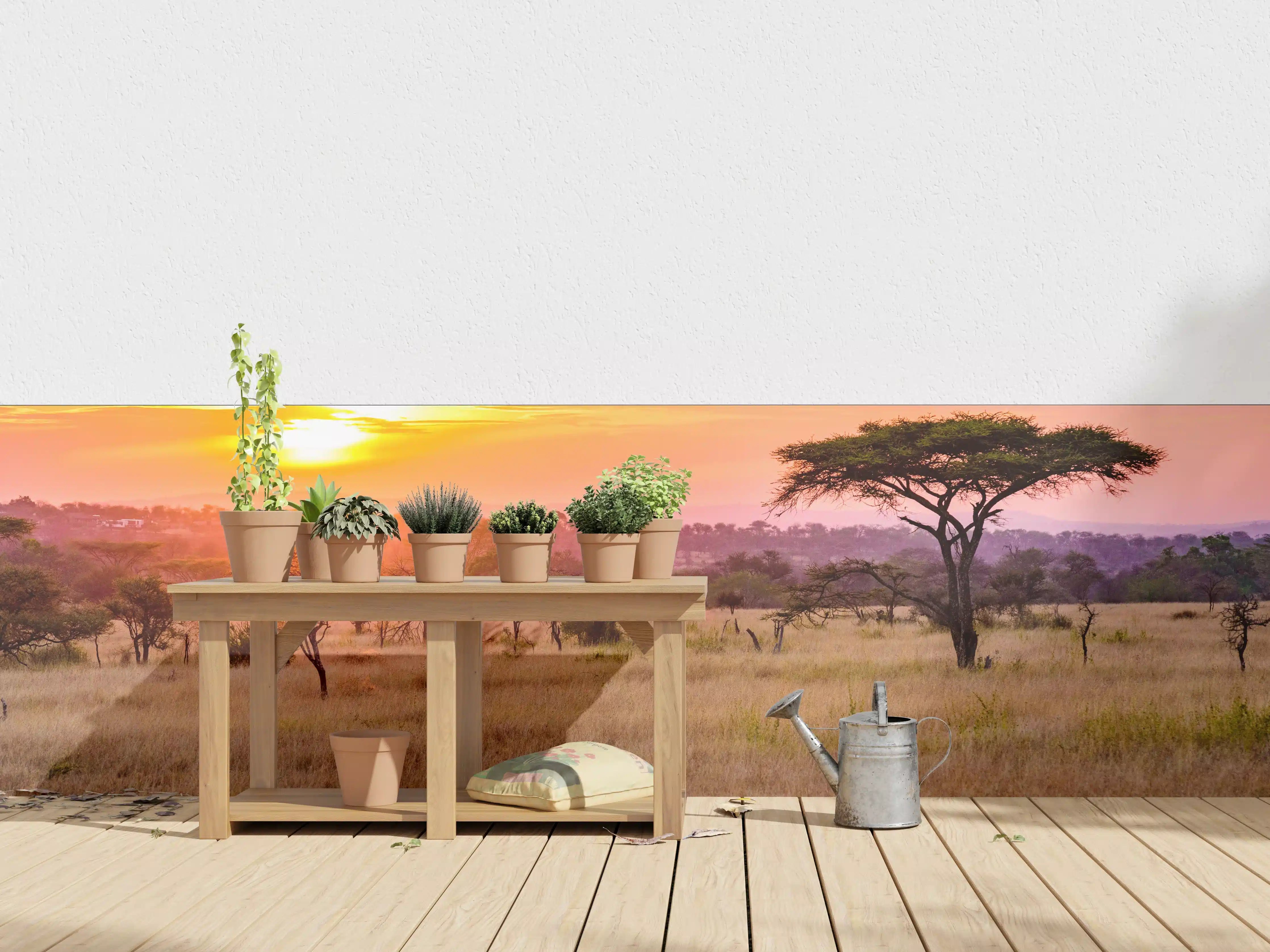 Wandverkleidung außen - Sonnenuntergang in der Savanne Afrikas