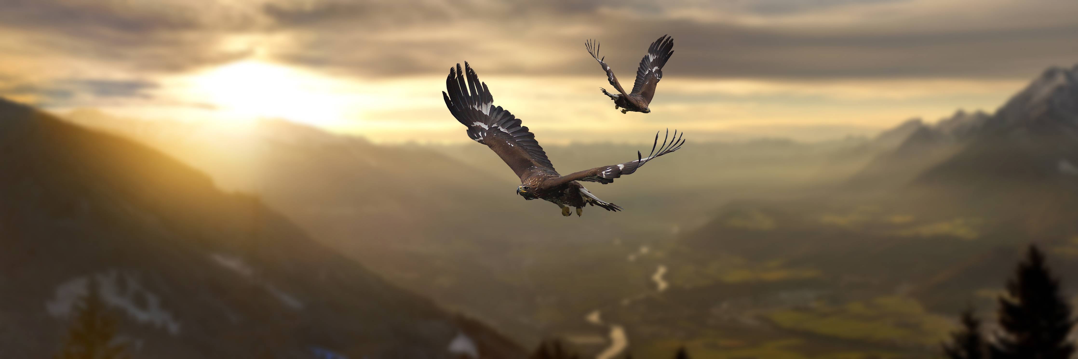 Wandverkleidung außen-Steinadler an den Alpen