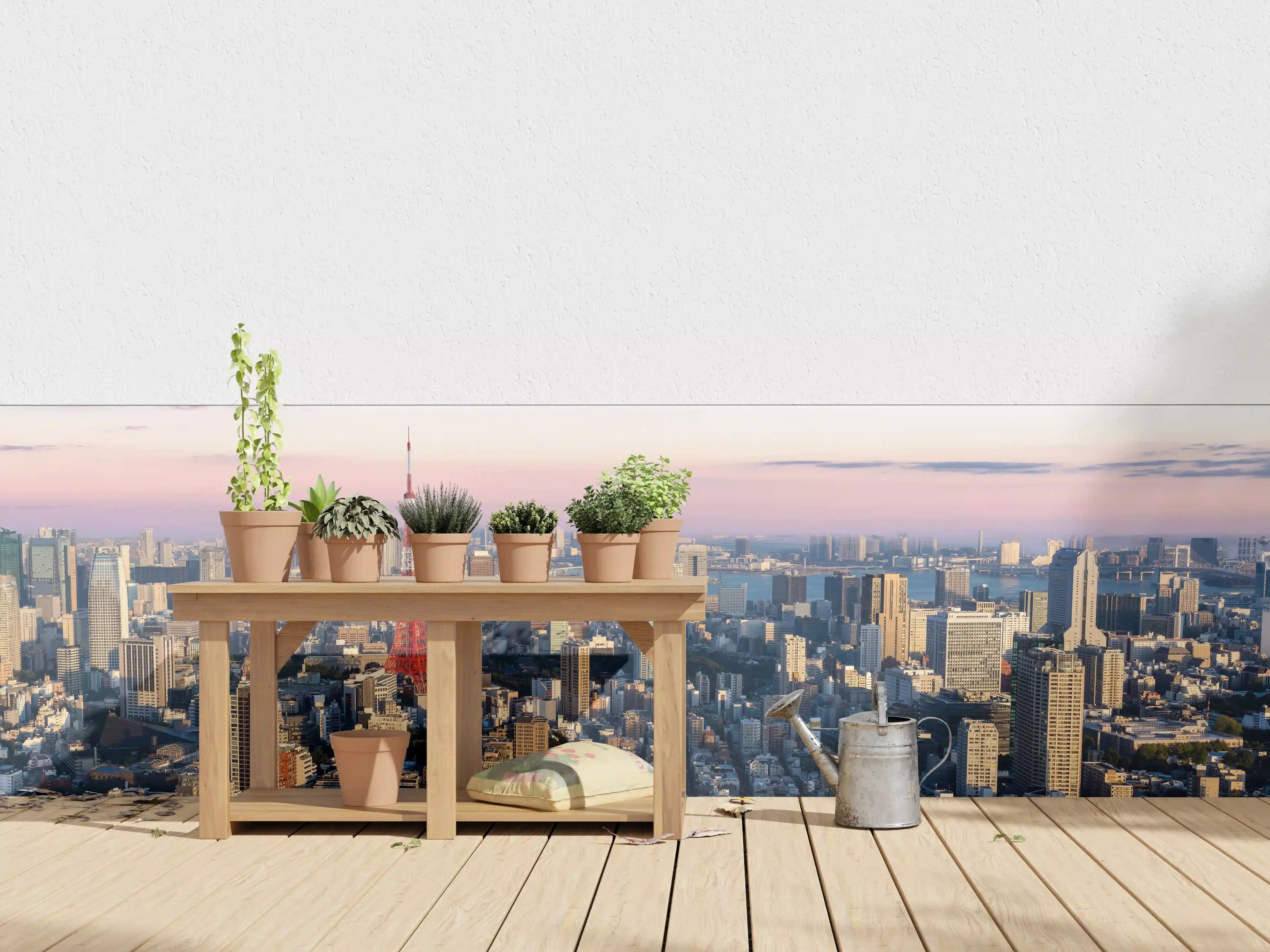 Wandverkleidung außen - Tokio Skyline mit Tokyo Tower