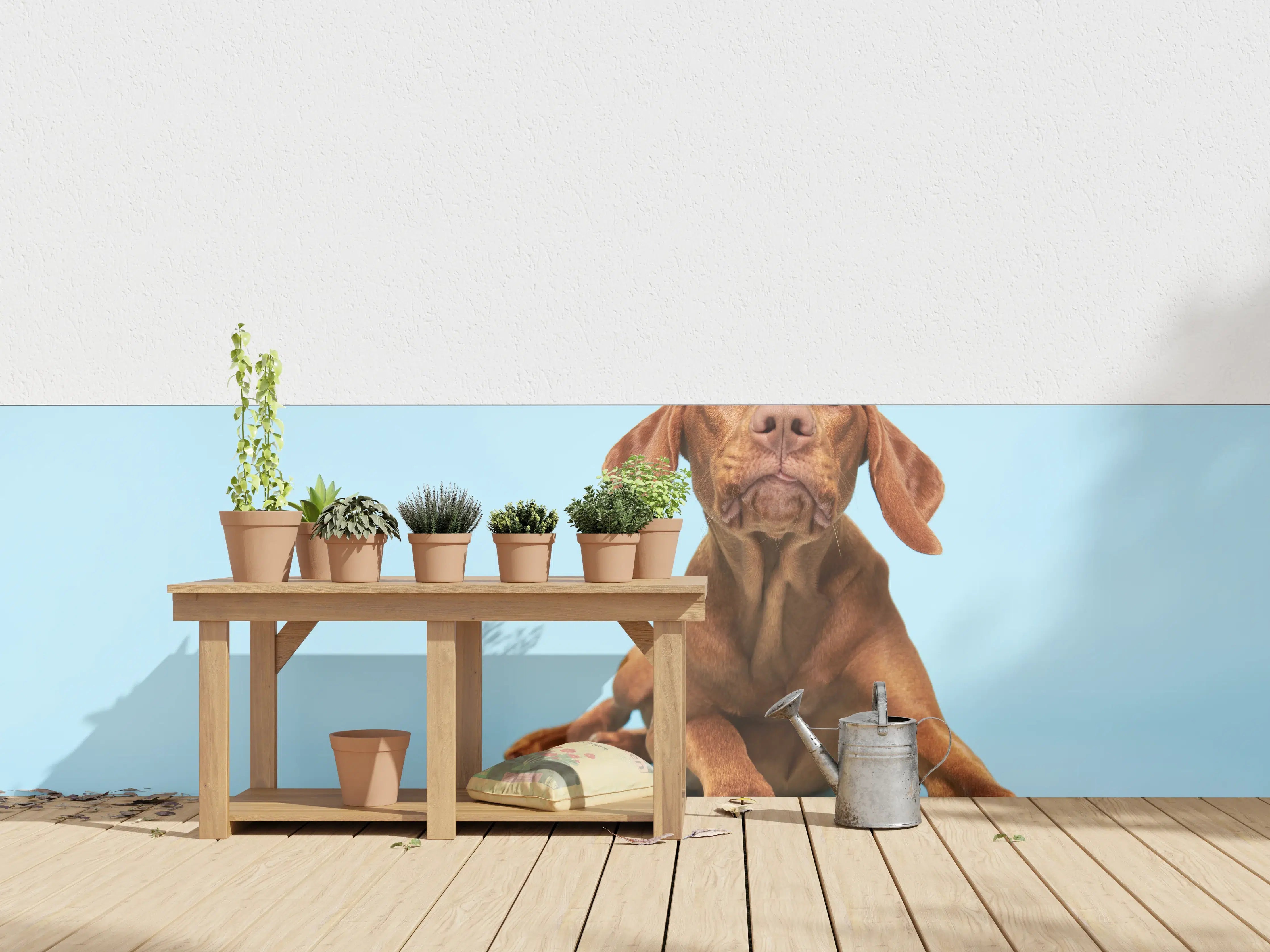 Wandverkleidung außen - Ungarischer Vizsla-Welpe Portrait