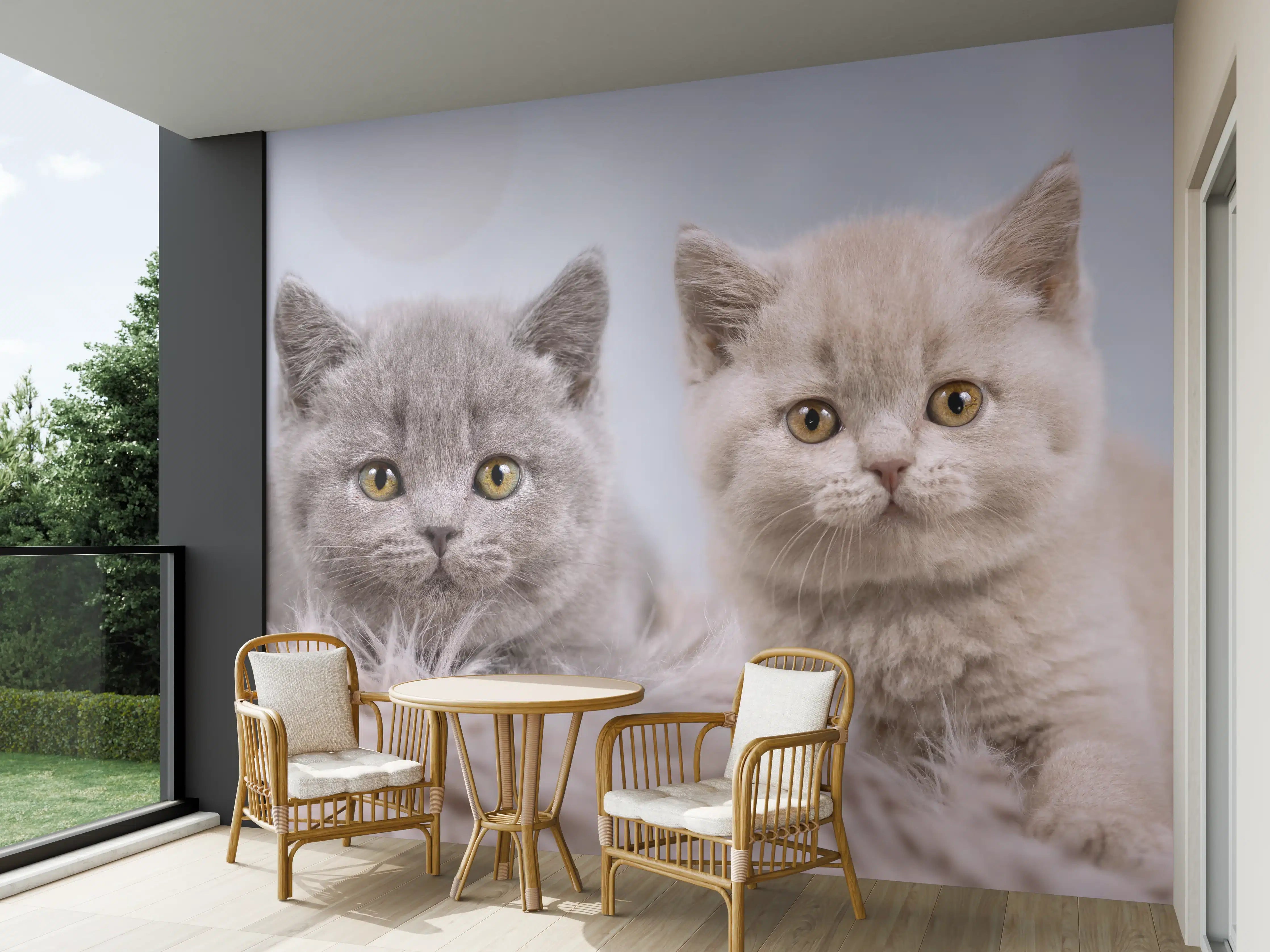 Wandverkleidung außen - Vier süße Katzenbaby
