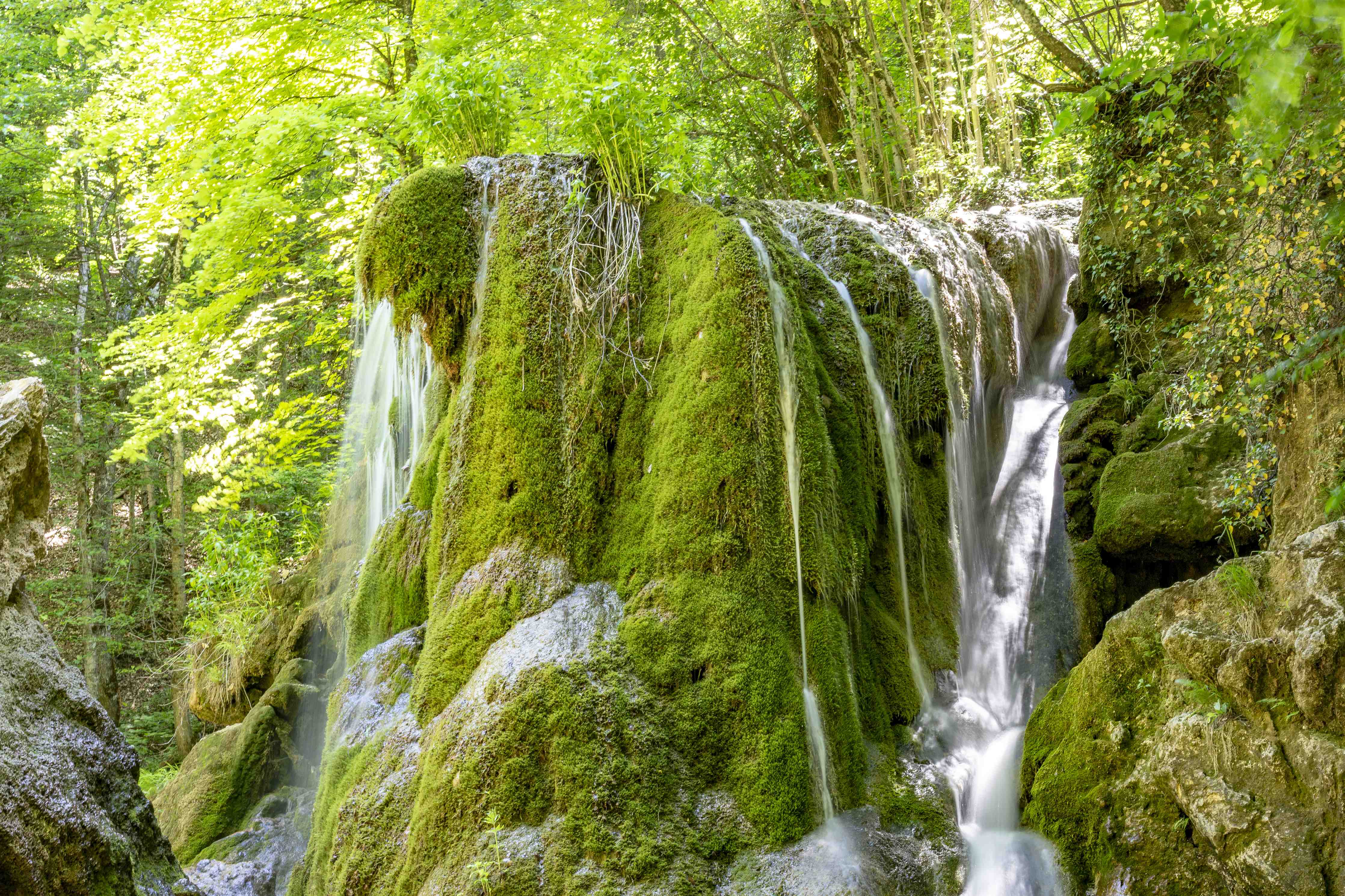 Wandverkleidung außen-Wasserfall im Wald - Sevastopol