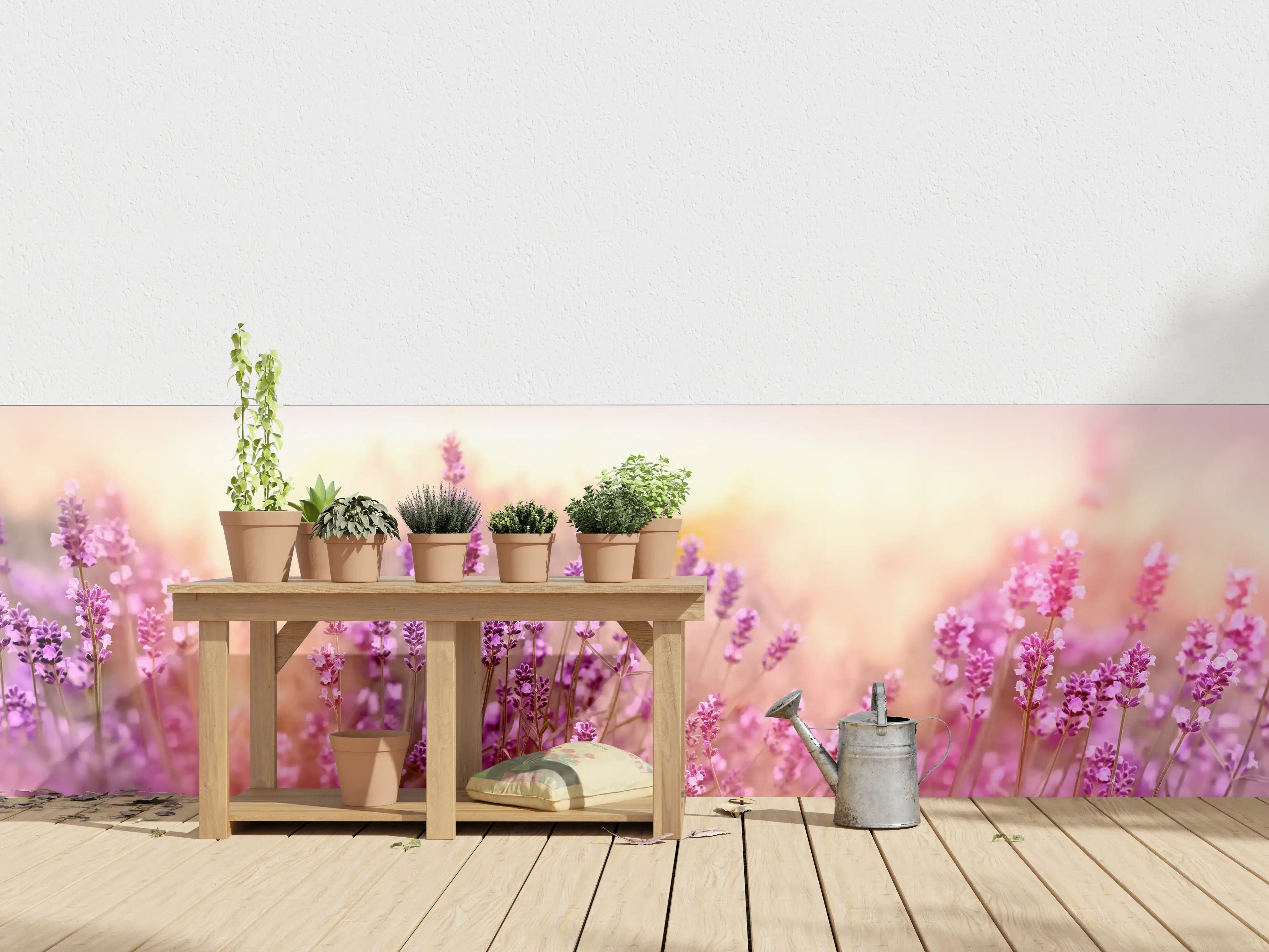 Wandverkleidung außen - Weicher und selektiver Fokus auf Lavendelblüte