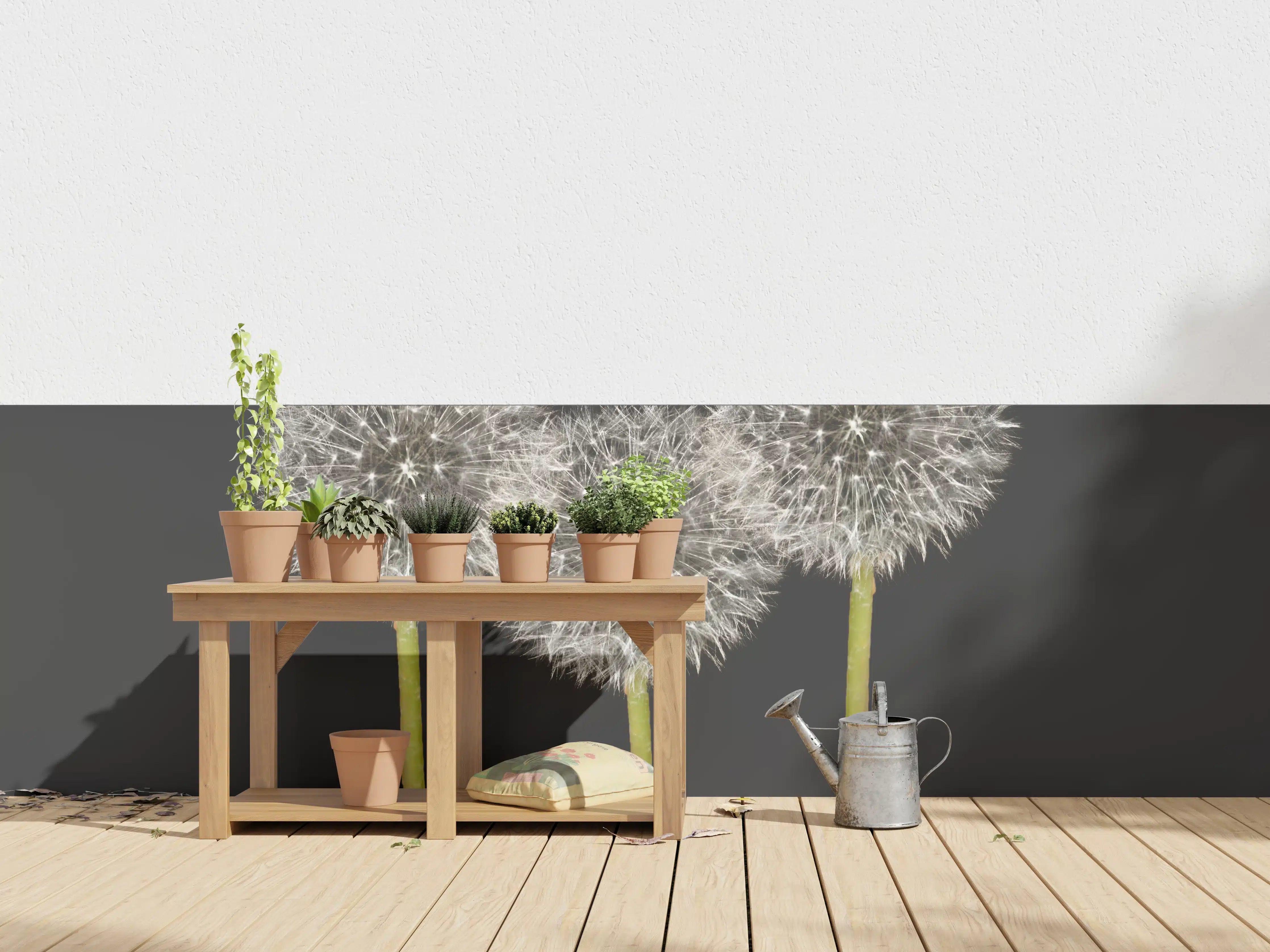 Wandverkleidung außen - Weiße Pusteblumen auf Schwarz