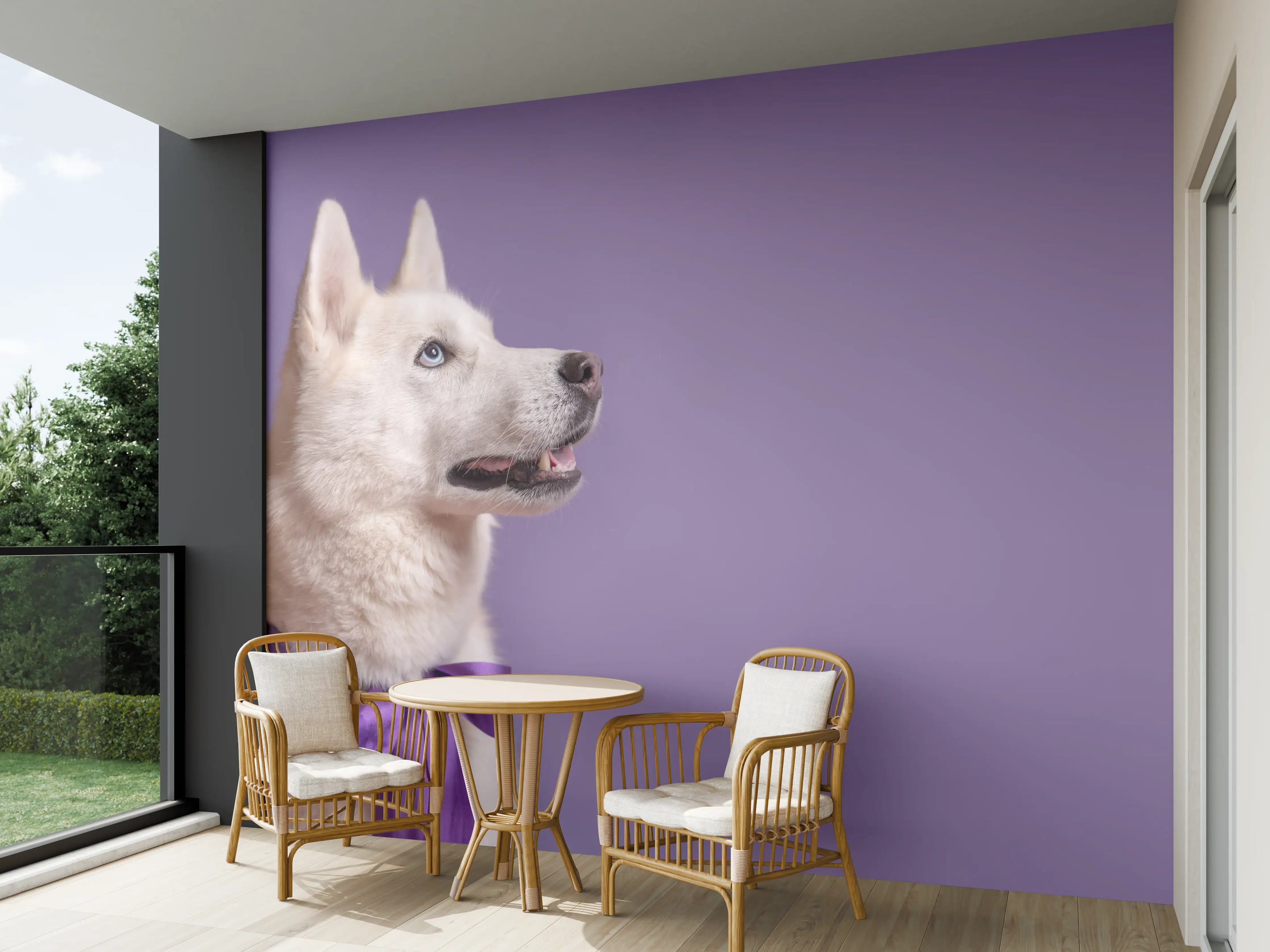 Wandverkleidung außen - Weißer sibirischer Husky Hund mit violetter Fliege