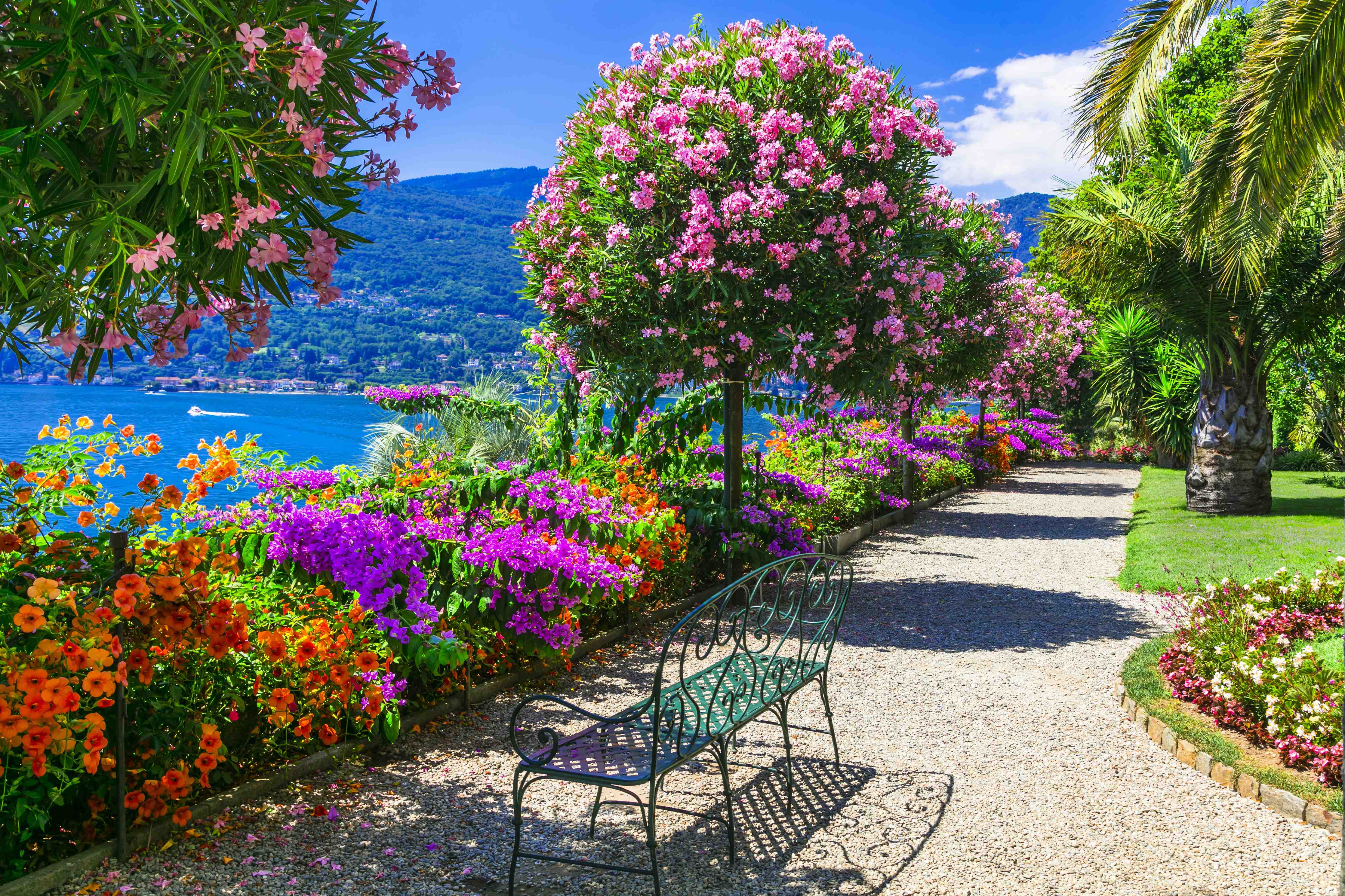 Wandverkleidung außen-Wunderschöner Garten in Lago Maggiore