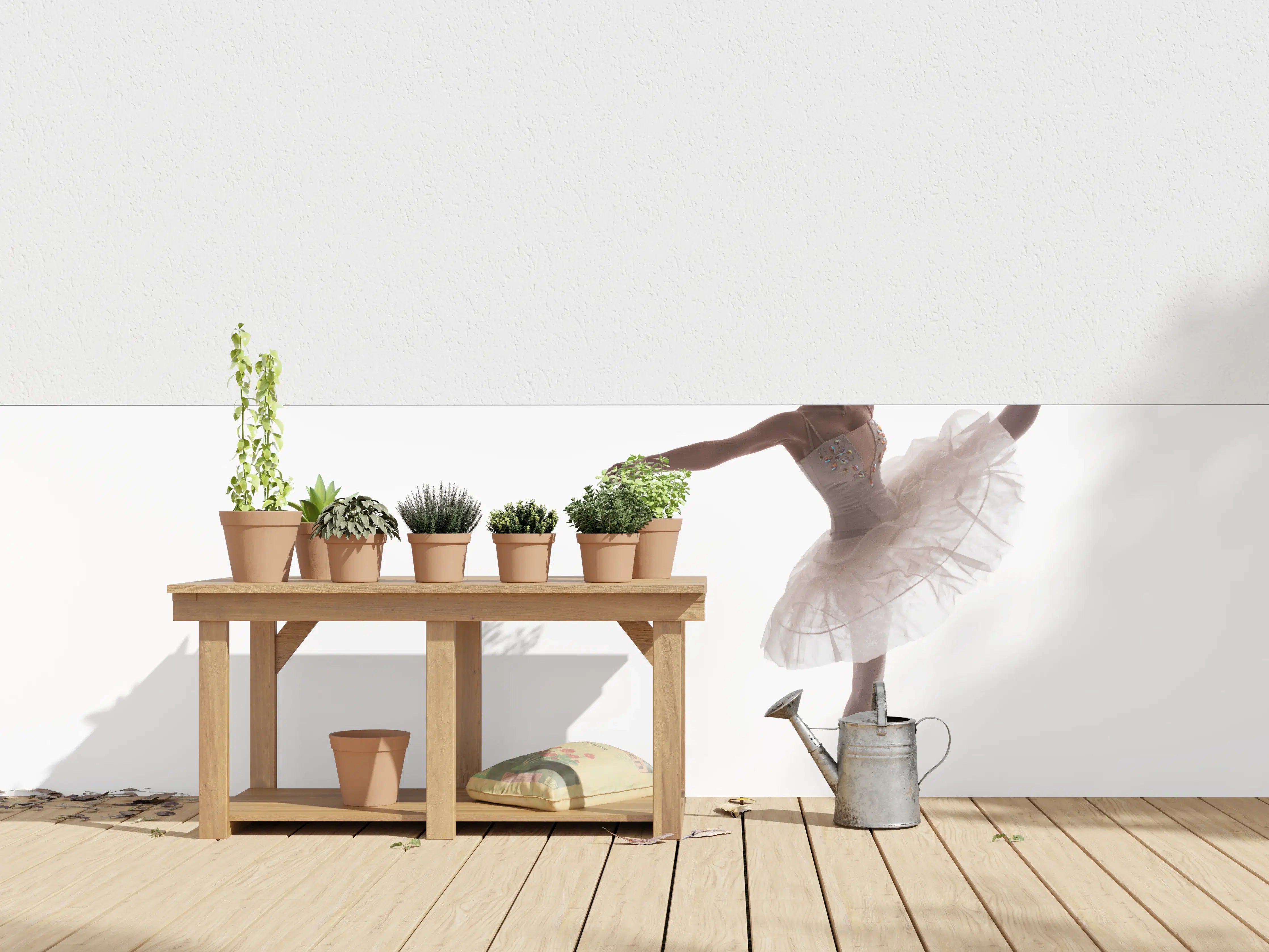 Wandverkleidung außen - Wundervolle Ballerina
