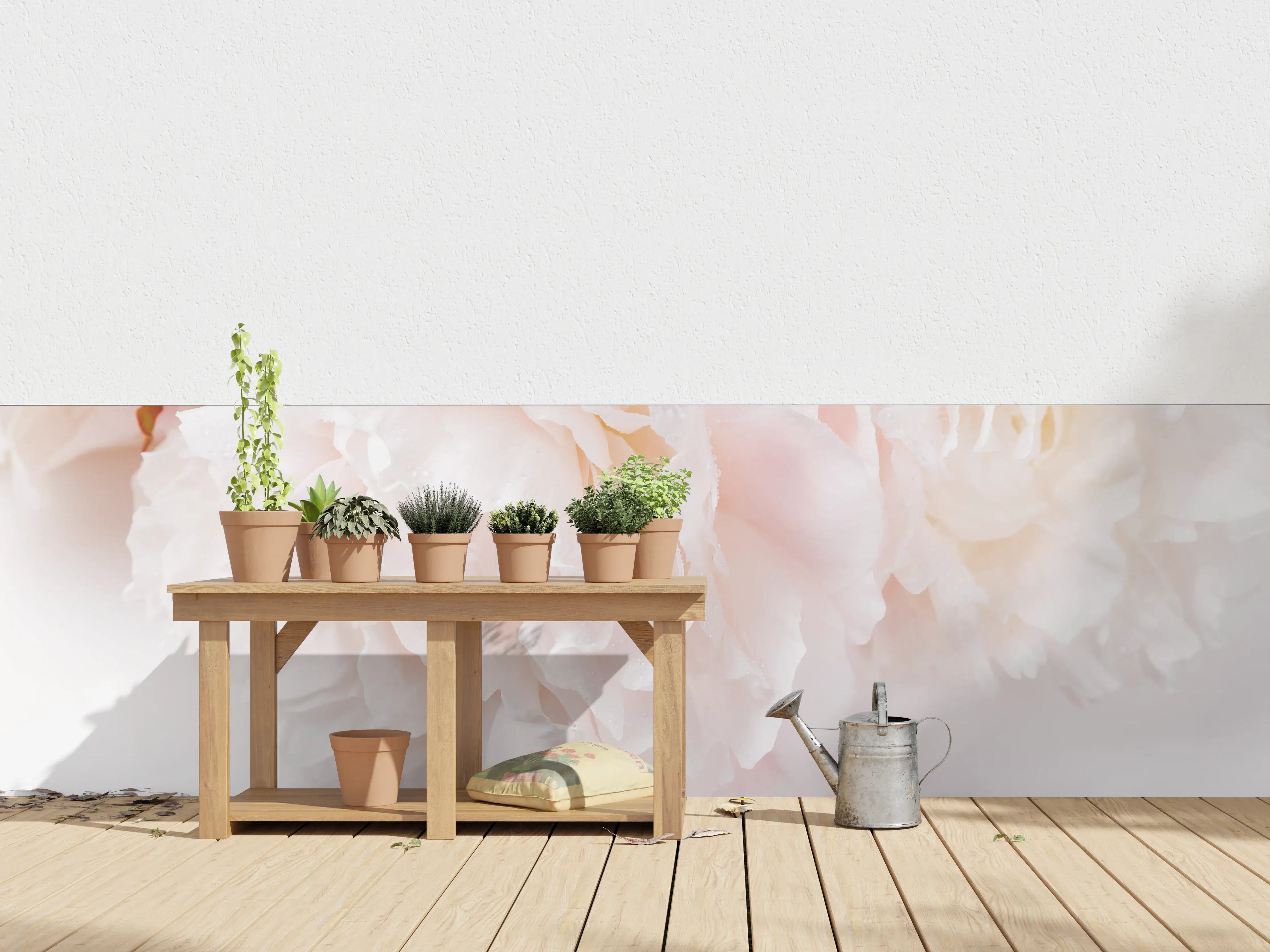 Wandverkleidung außen - Zarte weiße Blüten in Nahaufnahme
