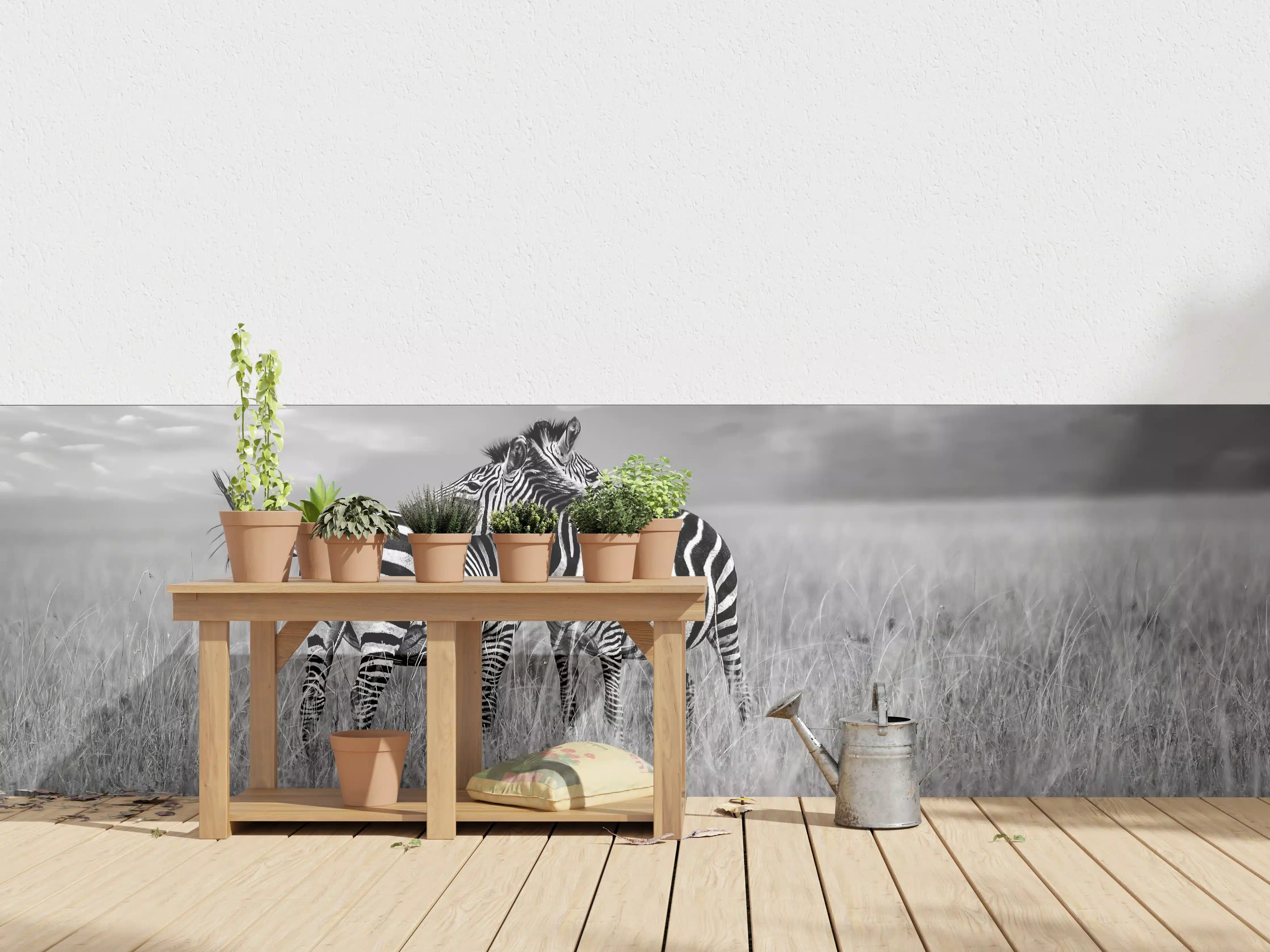 Wandverkleidung außen - Zebras in ihrer Natur - Savanne