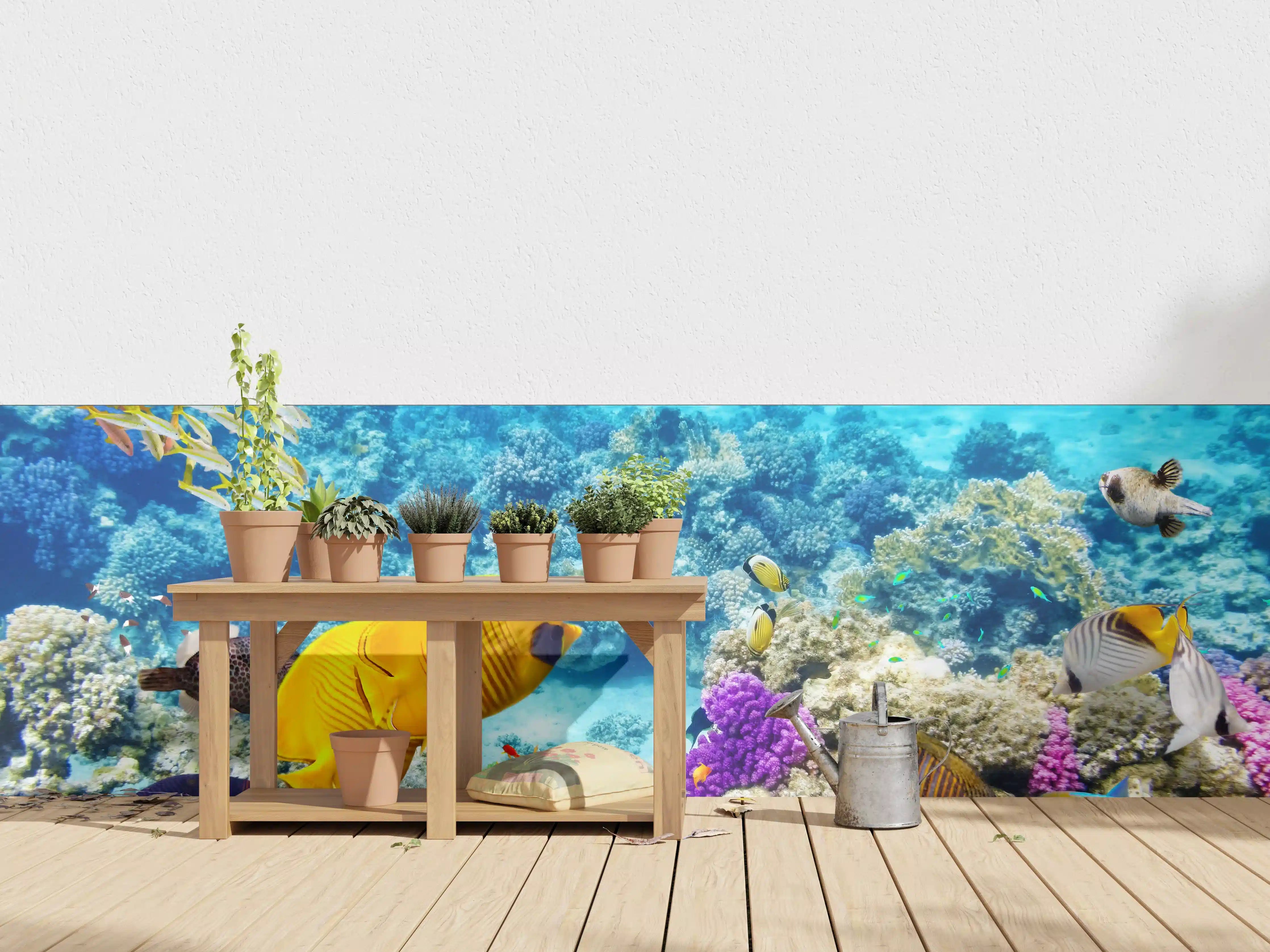 Wandverkleidung außen - bunte Unterwasserwelt in Australien