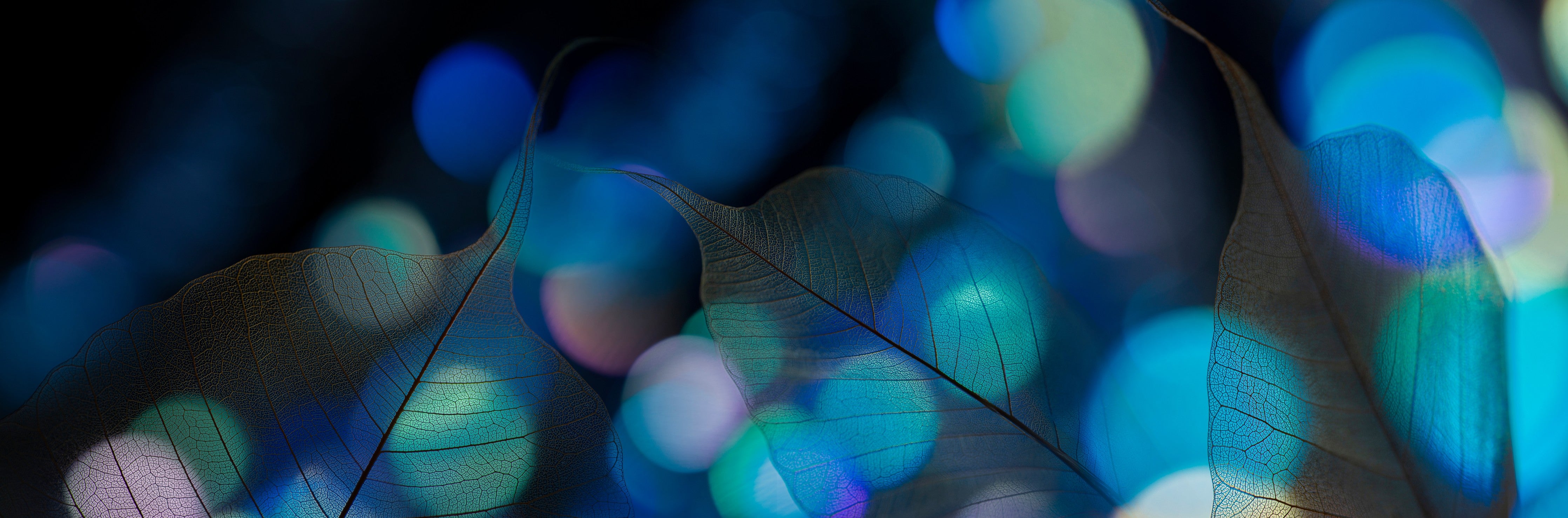 Waschbecken-Rückwand-Abstrakte Blätter mit Bokeh-Glanz