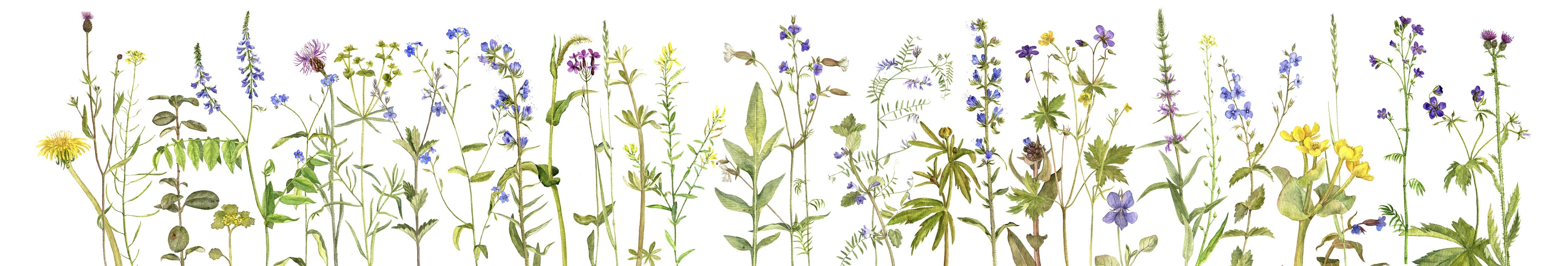 Waschbecken-Rückwand-Aquarell Wildblumen auf Weiß